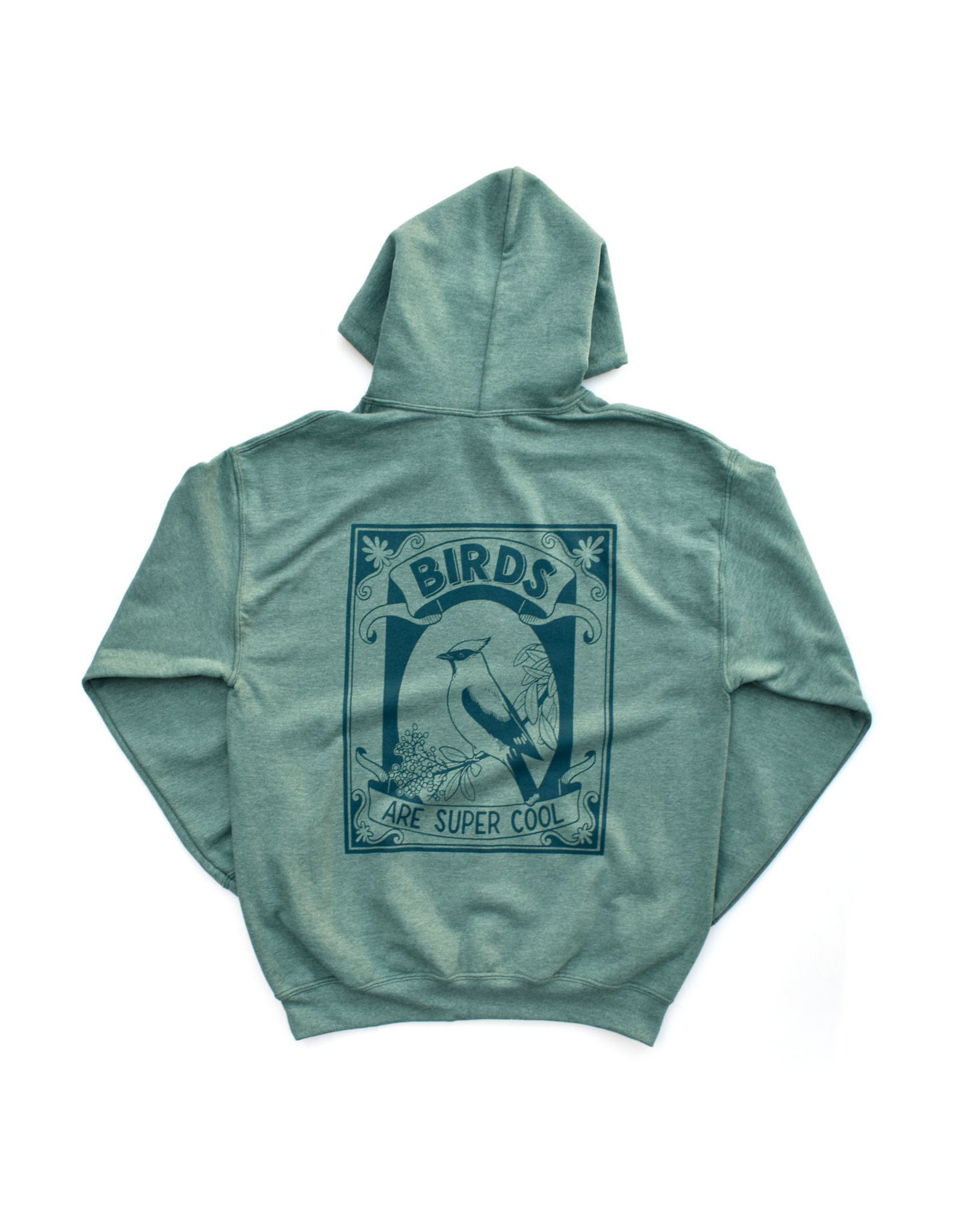 Birds Are Super Cool Hoodie