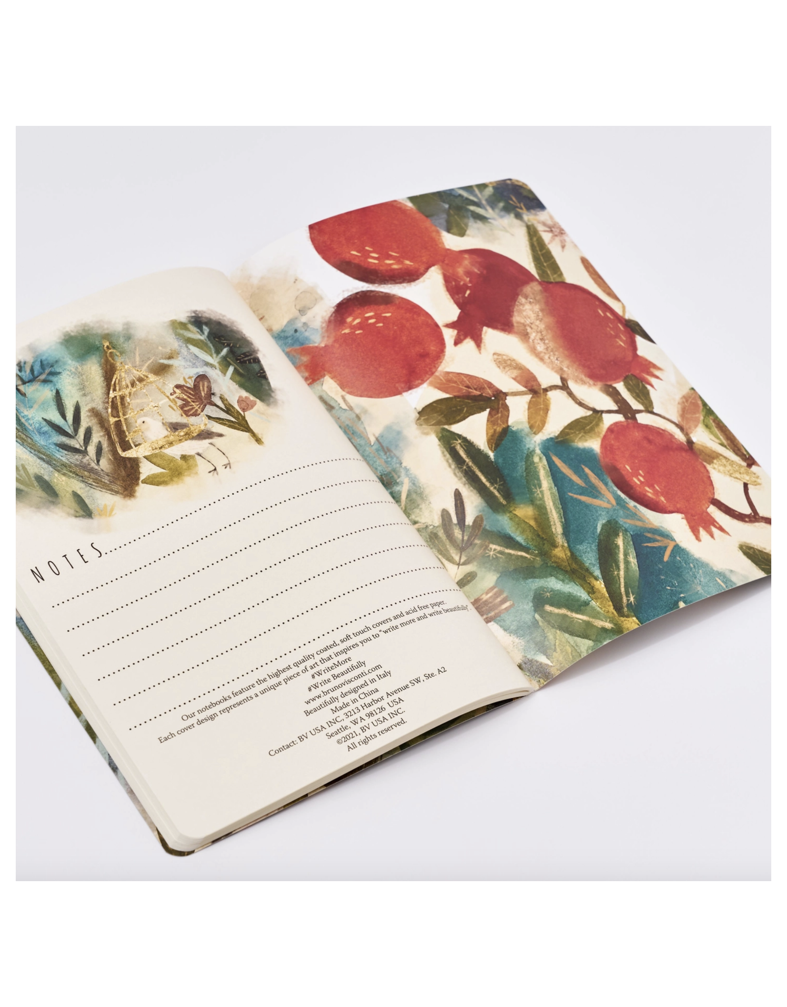 Roman Murals Notebook