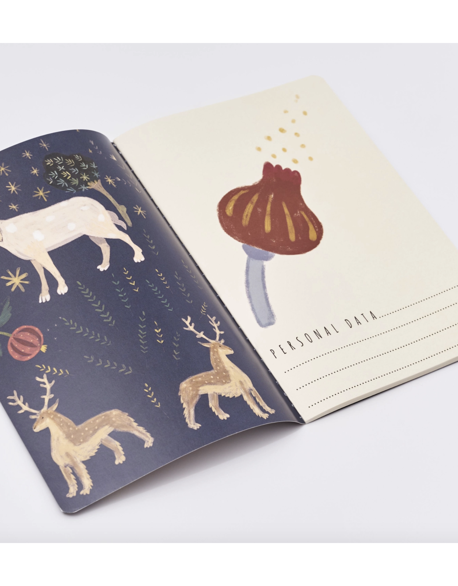 Fairytale Notebook