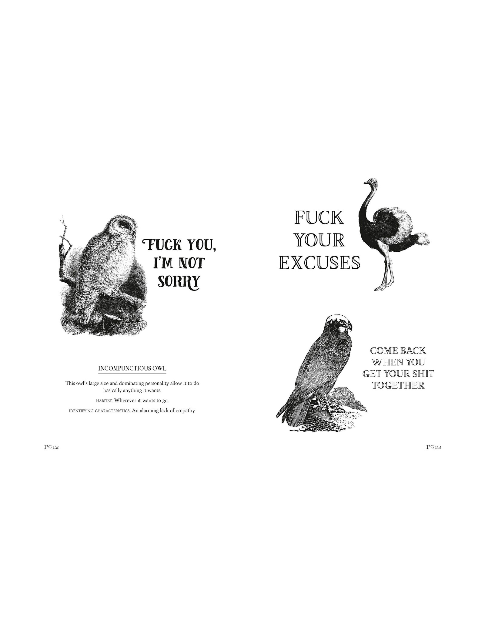 Effin' Birds, A Field Guide to Identification Book