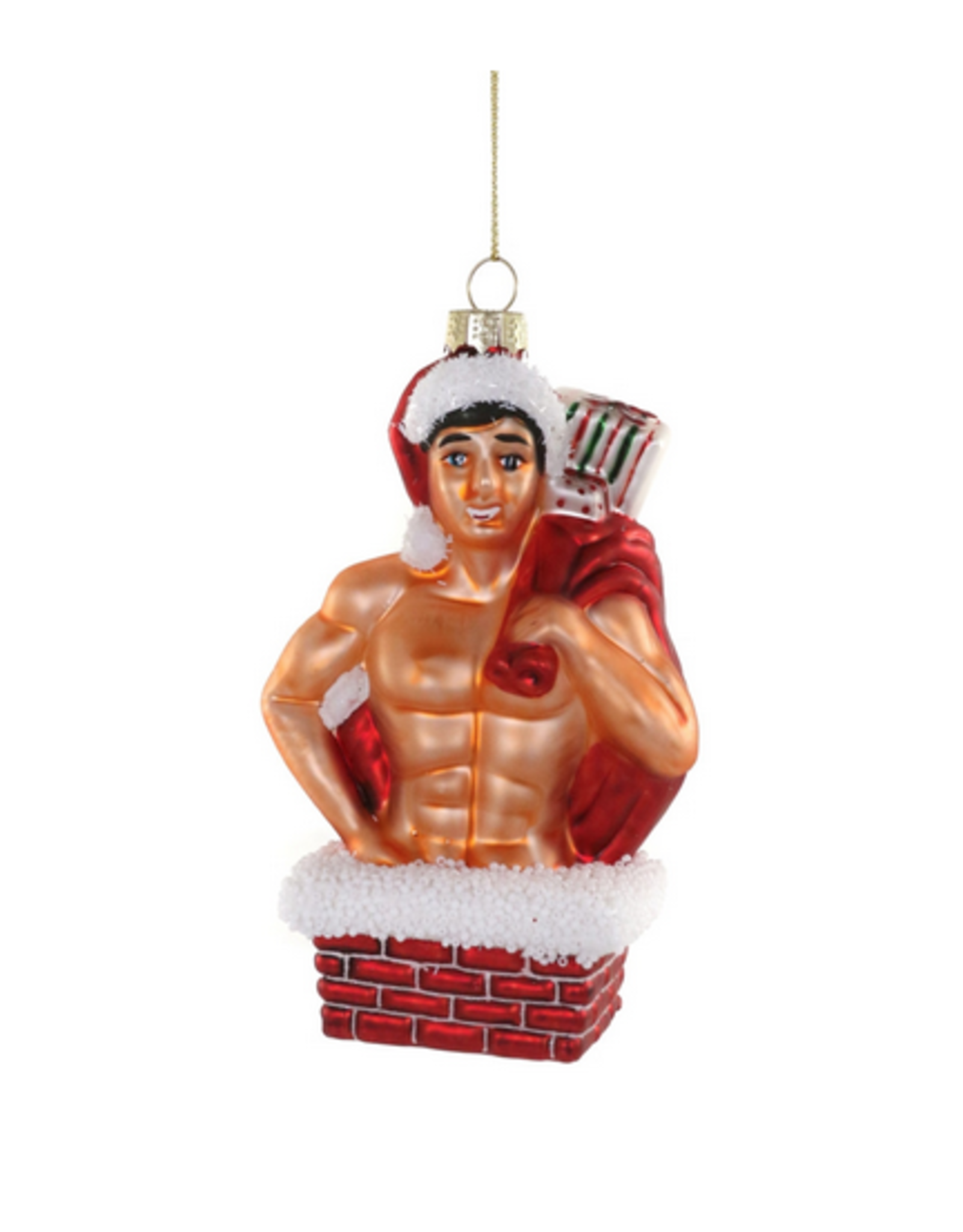 Christmas Delivery Hunk Ornament - Home