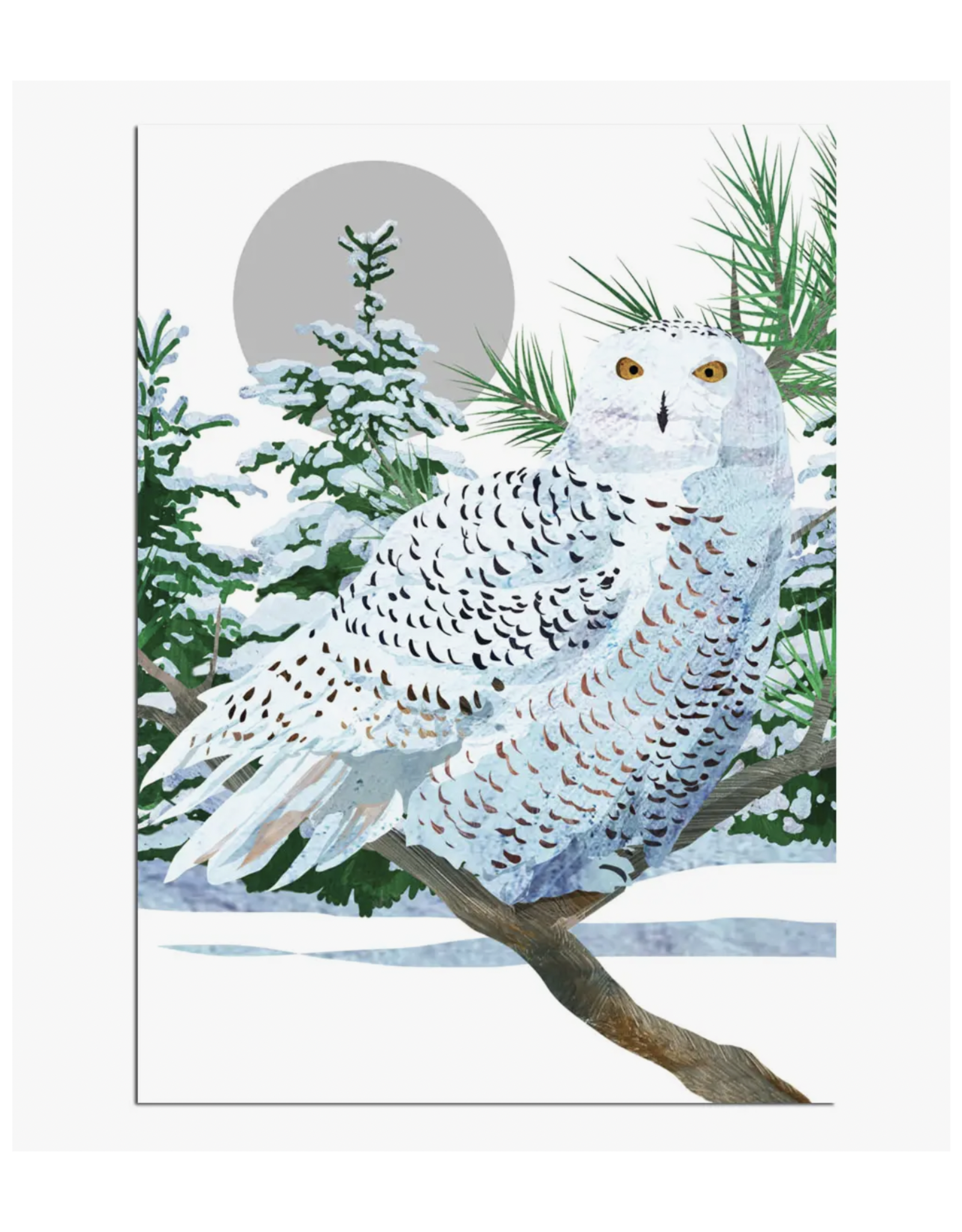 Snowy White Owl Greeting Card