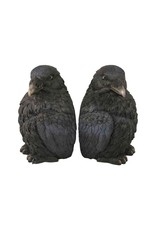 Corvus (Crows) Bookend Set