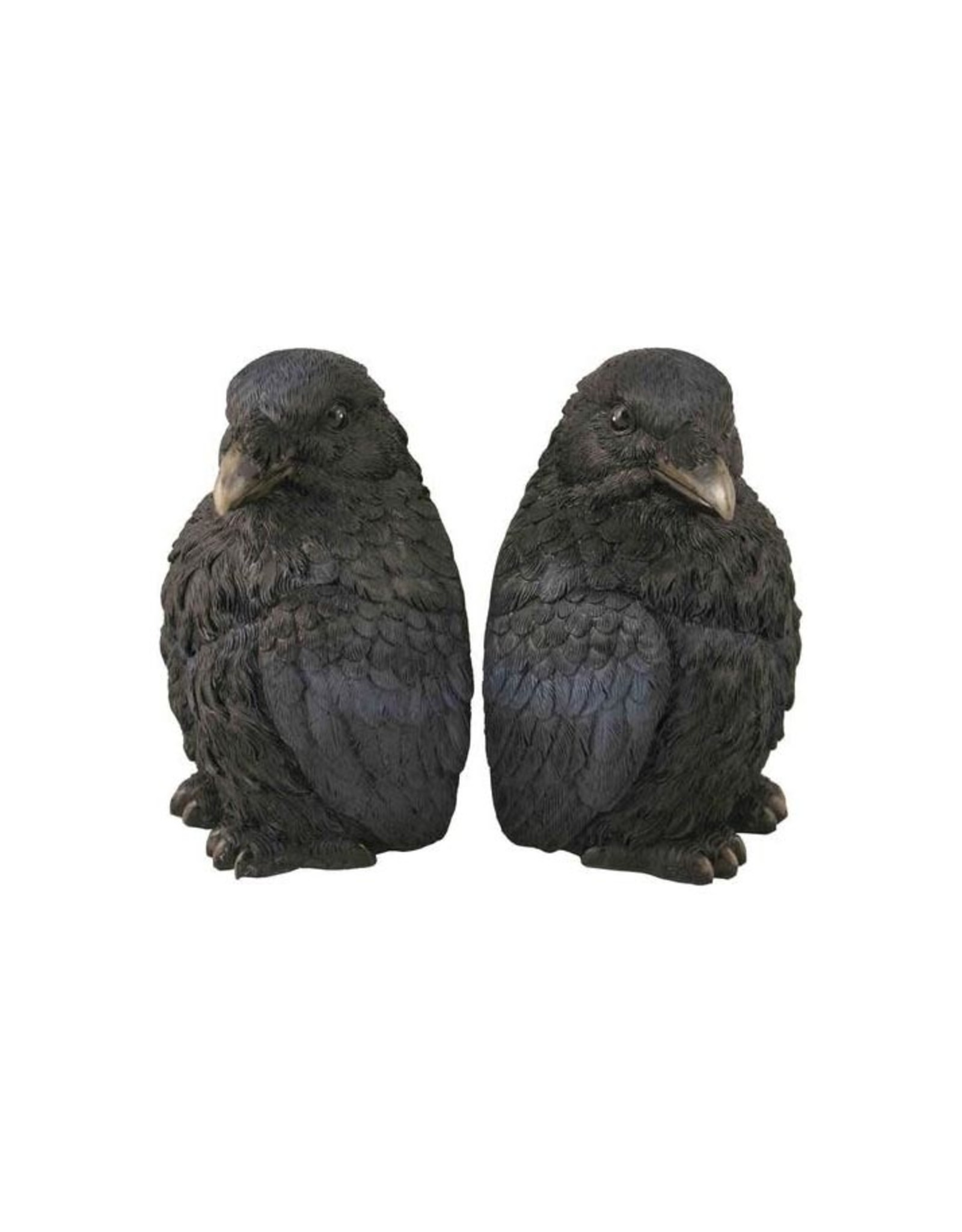 Corvus (Crows) Bookend Set