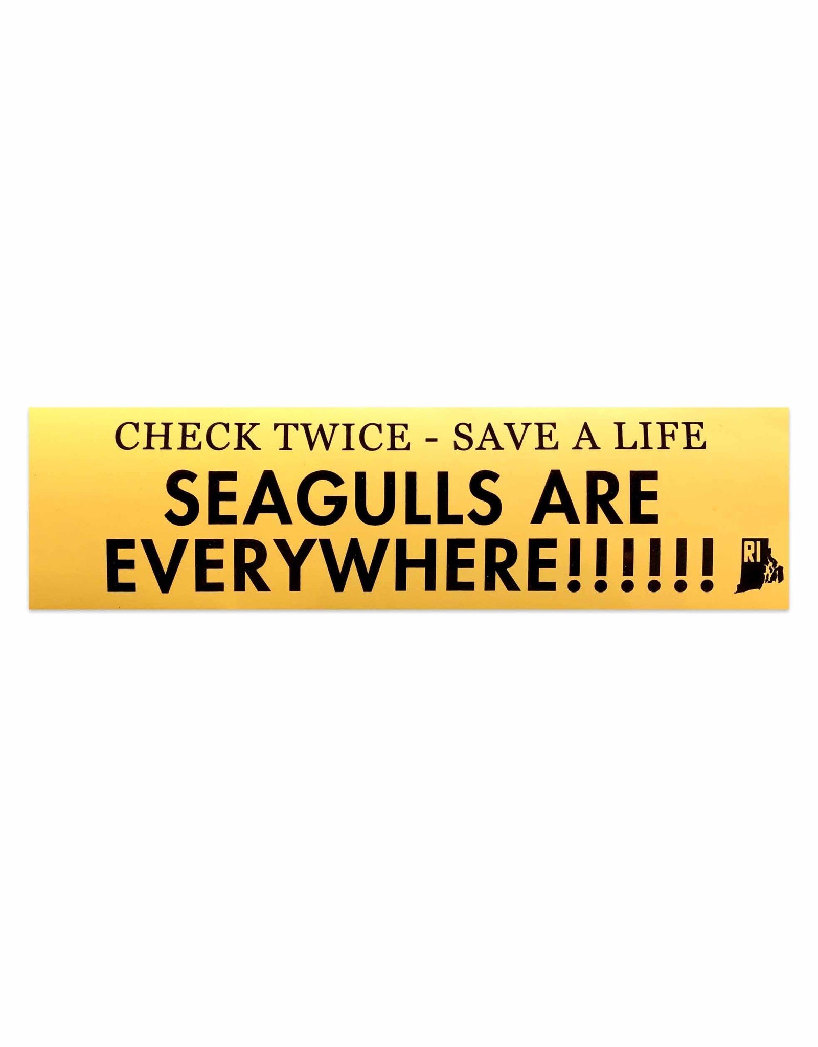 Seagulls Are Everywhere Bumper Sticker