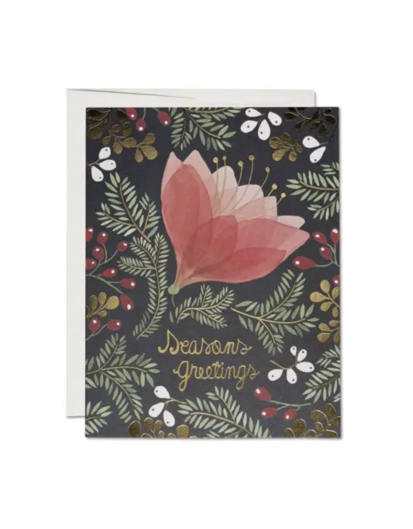 Seasons Greetings Amaryllis Greeting Card