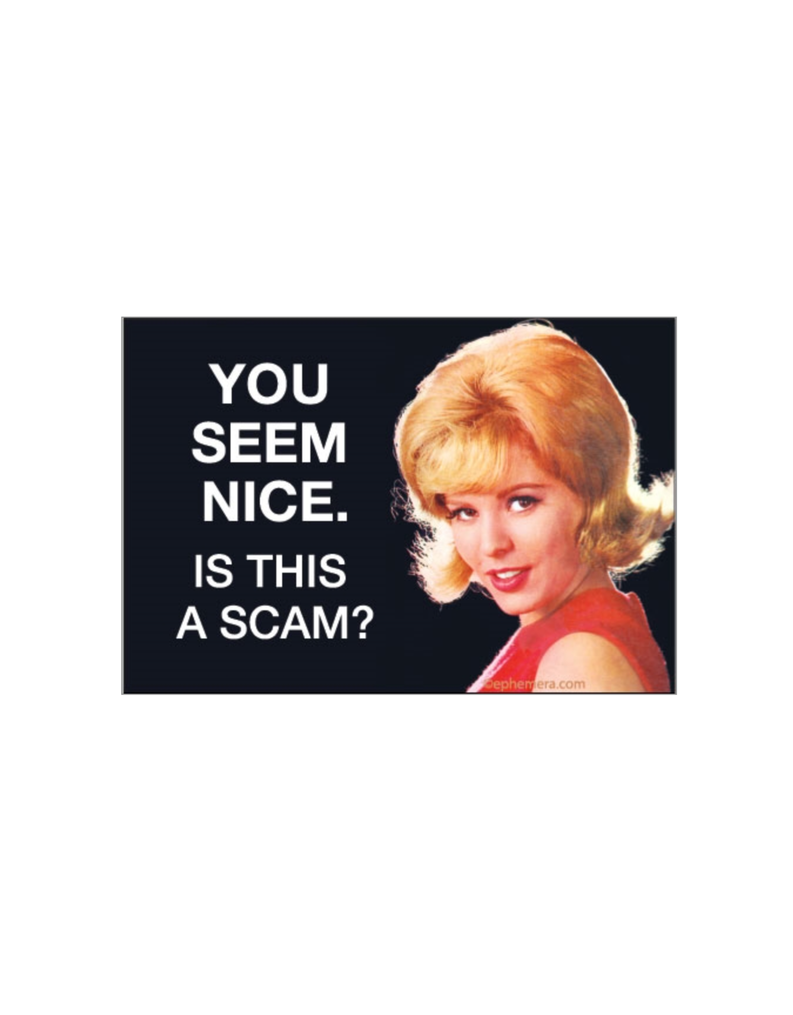 You Seem Nice Magnet *