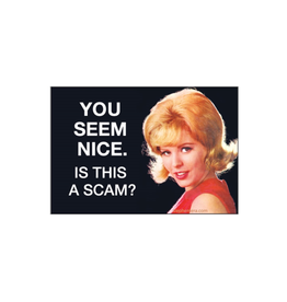 You Seem Nice Magnet *