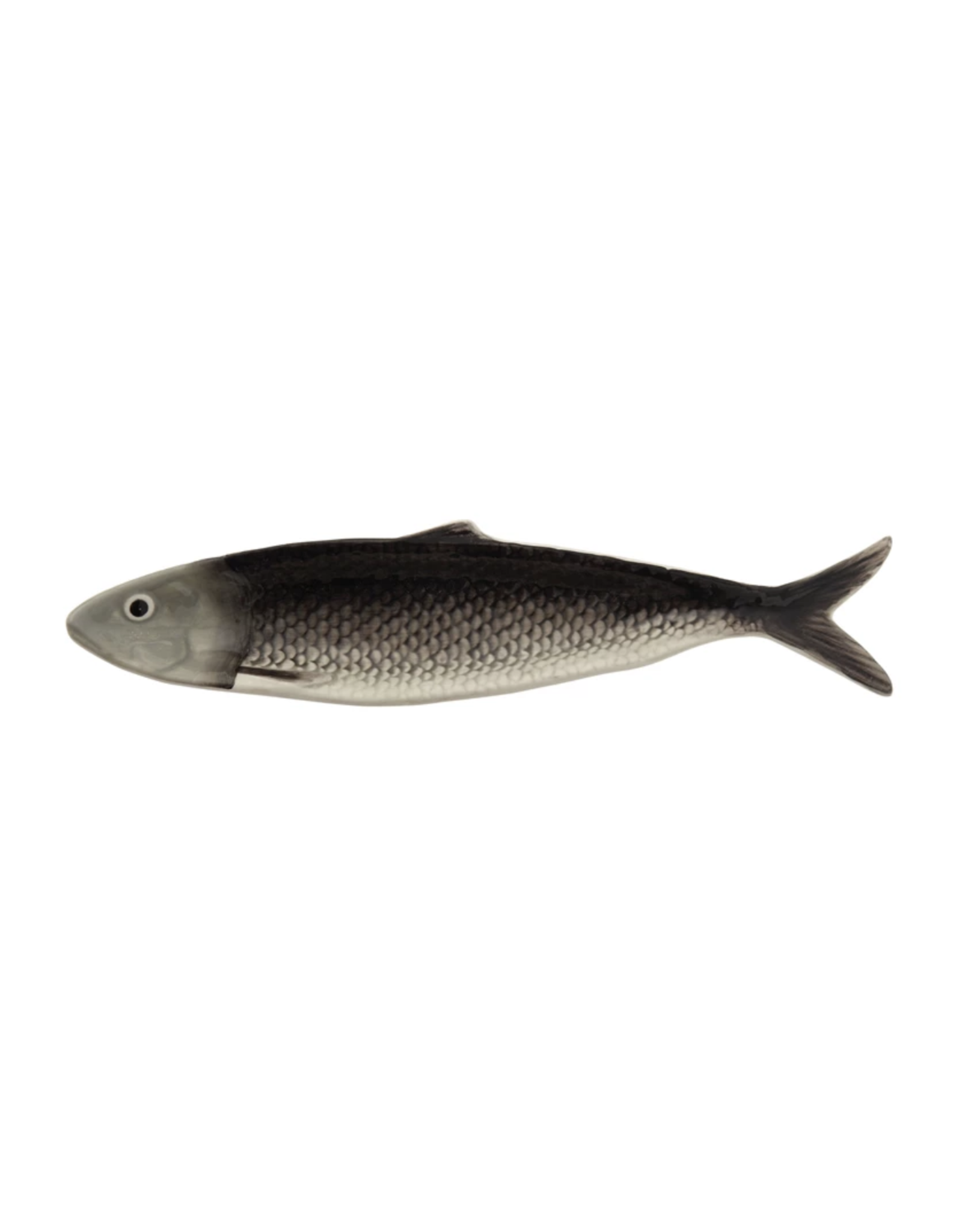 Sardine Plate (2 colors)