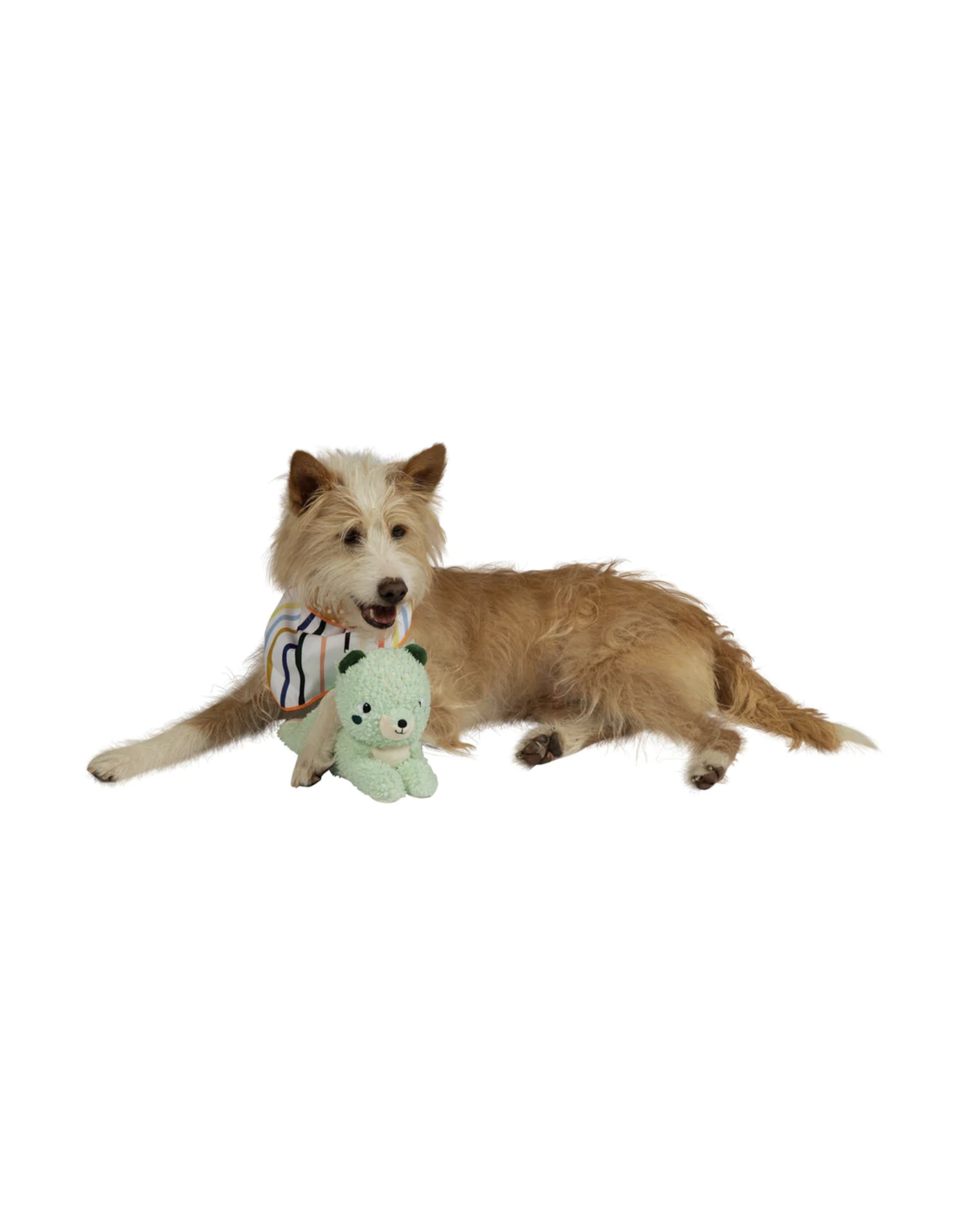Squeaks a Lot Squirrel Dog Toy