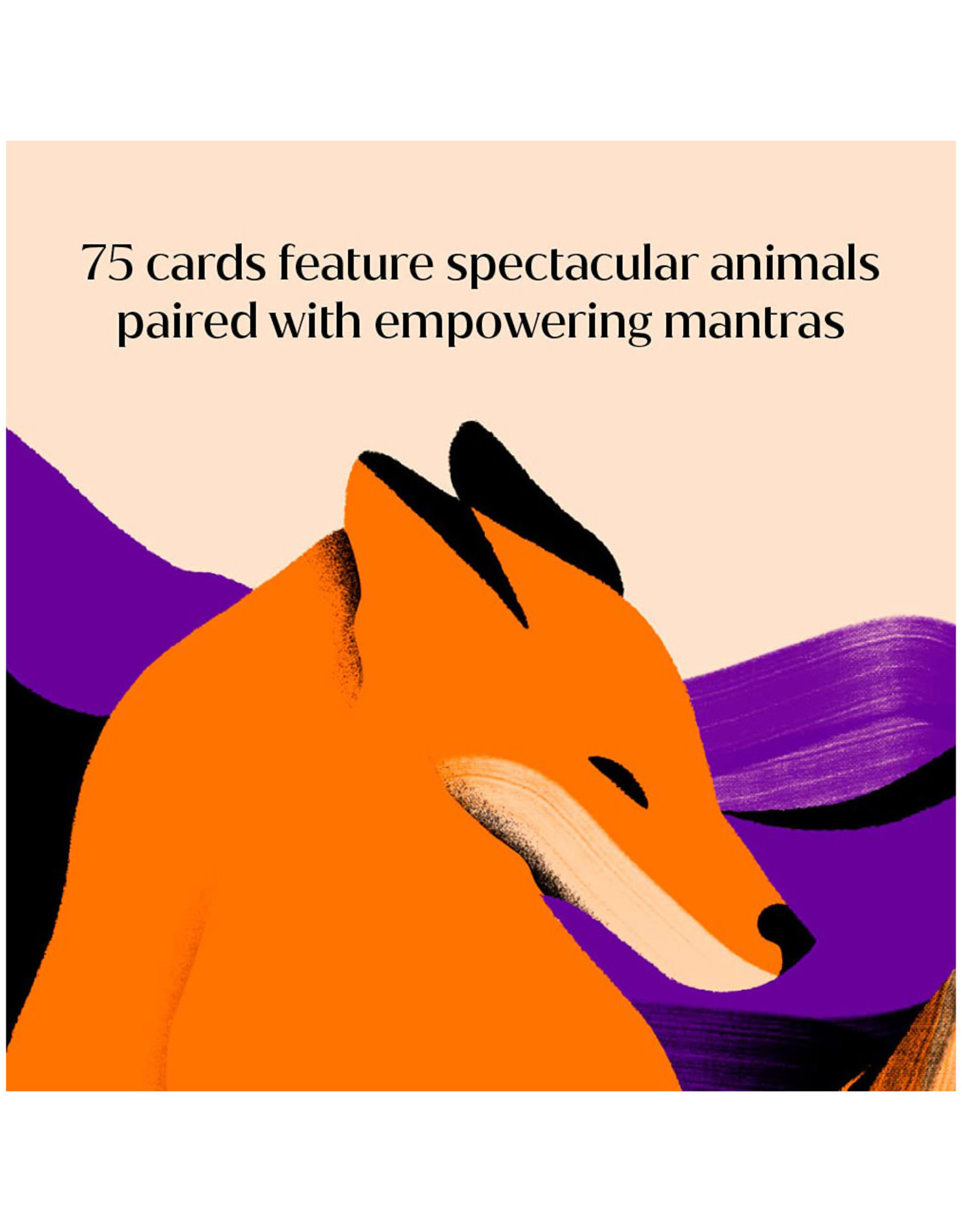 Animal Power Tarot Deck