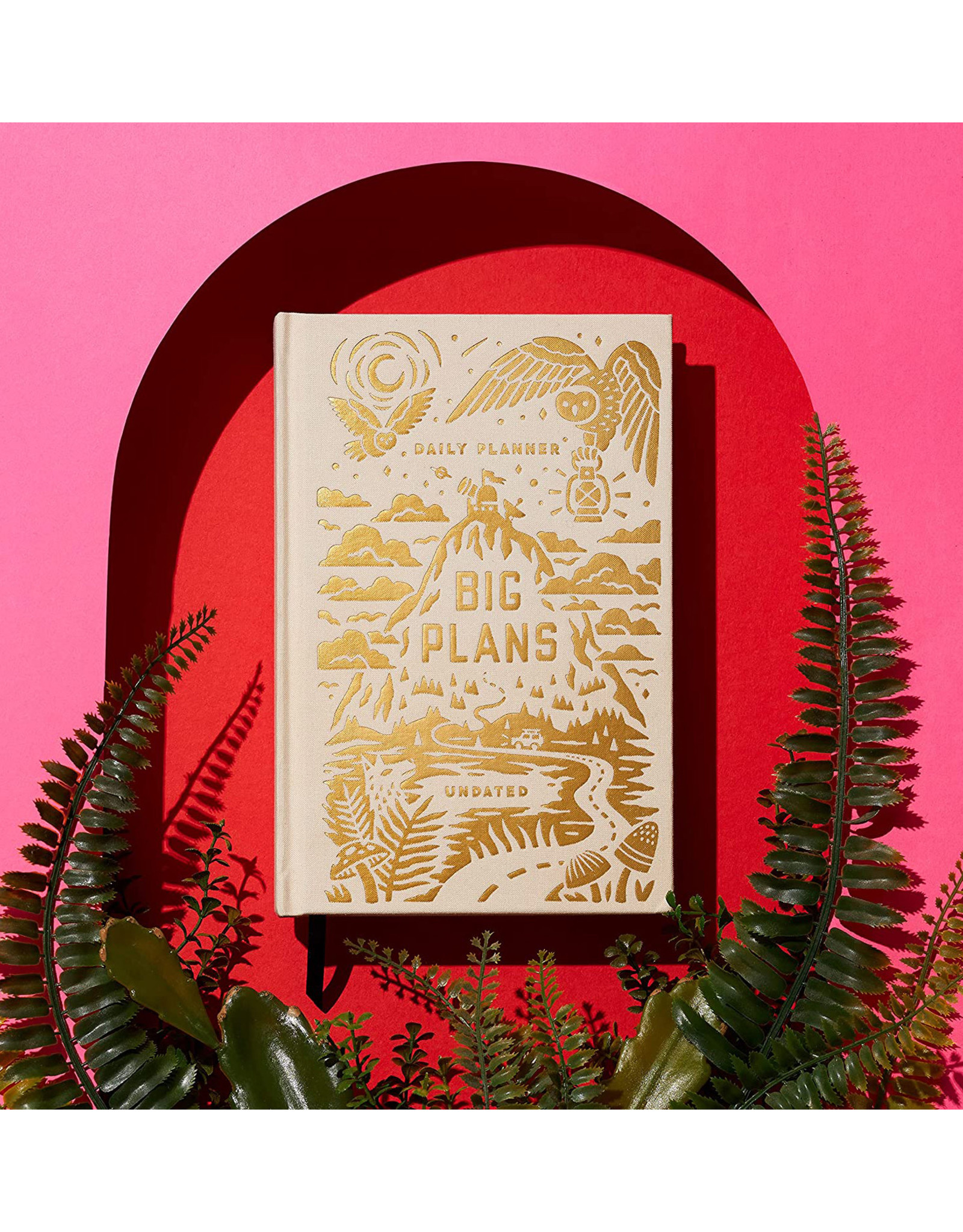 Big Plans Undated Standard Planner