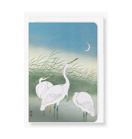 Herons In Shallow Water: Japanese Greeting Card