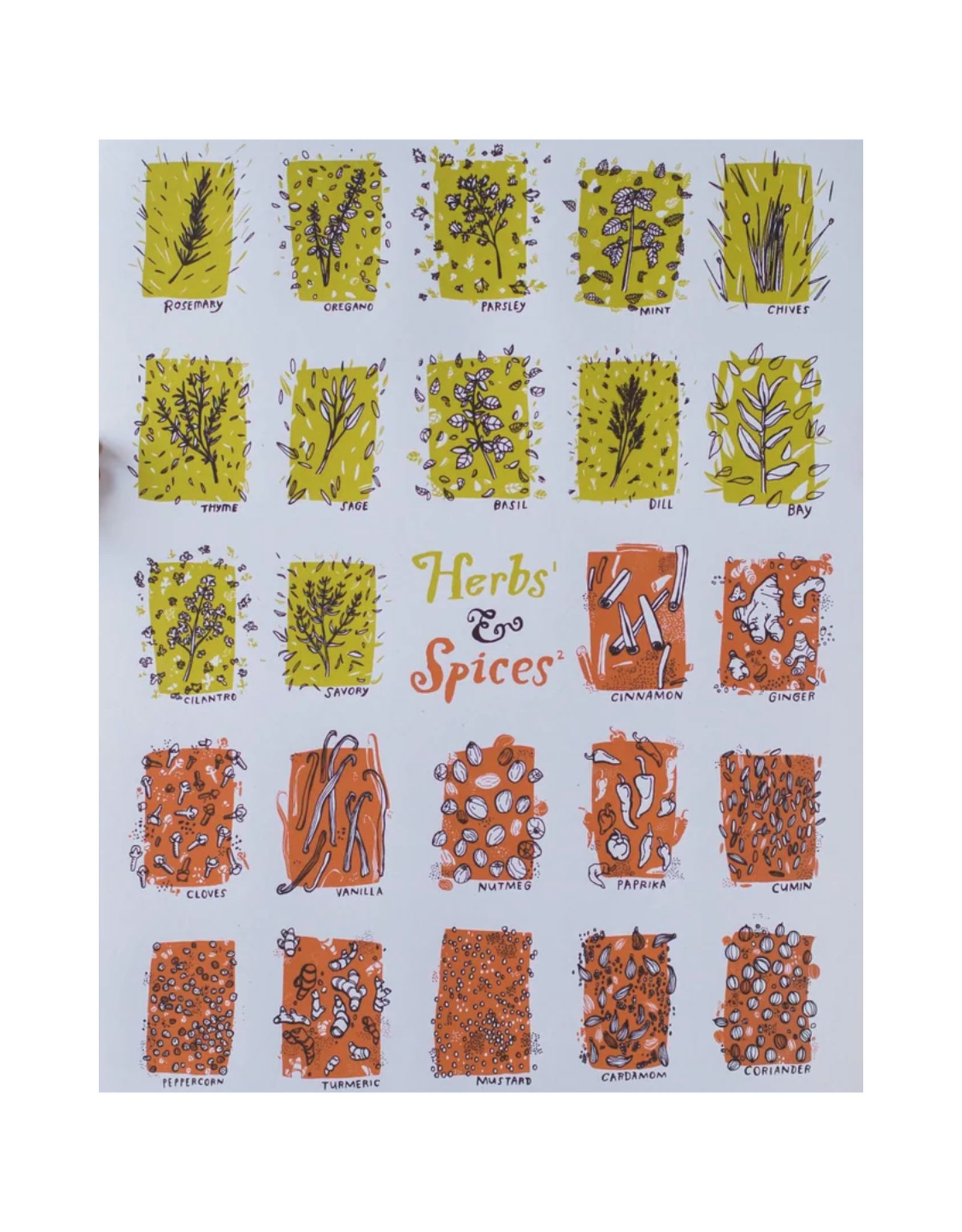 Herbs & Spices Print