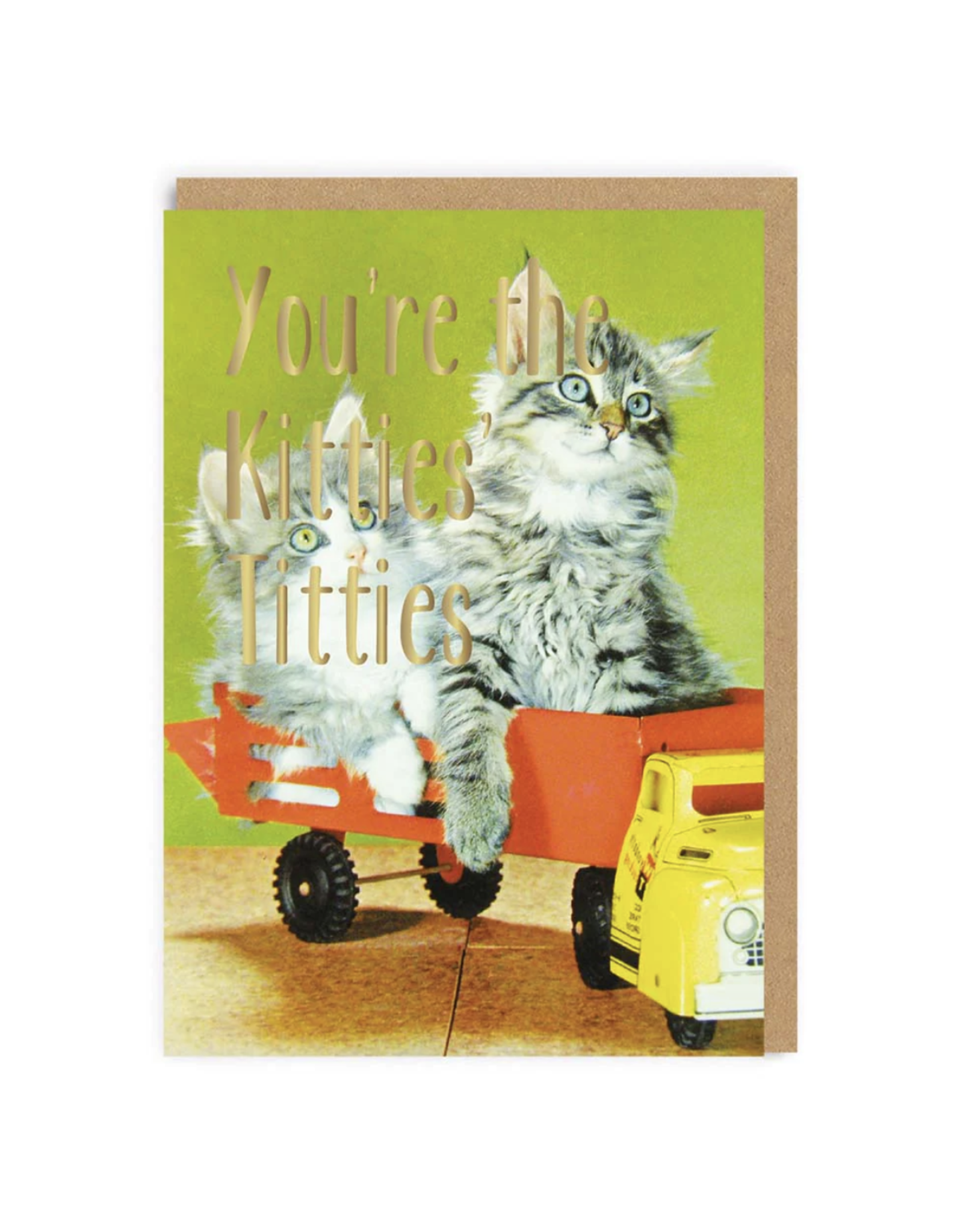 You're The Kitties Titties Greeting Card