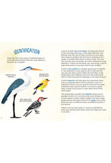 Kid's Guide to Backyard Birds
