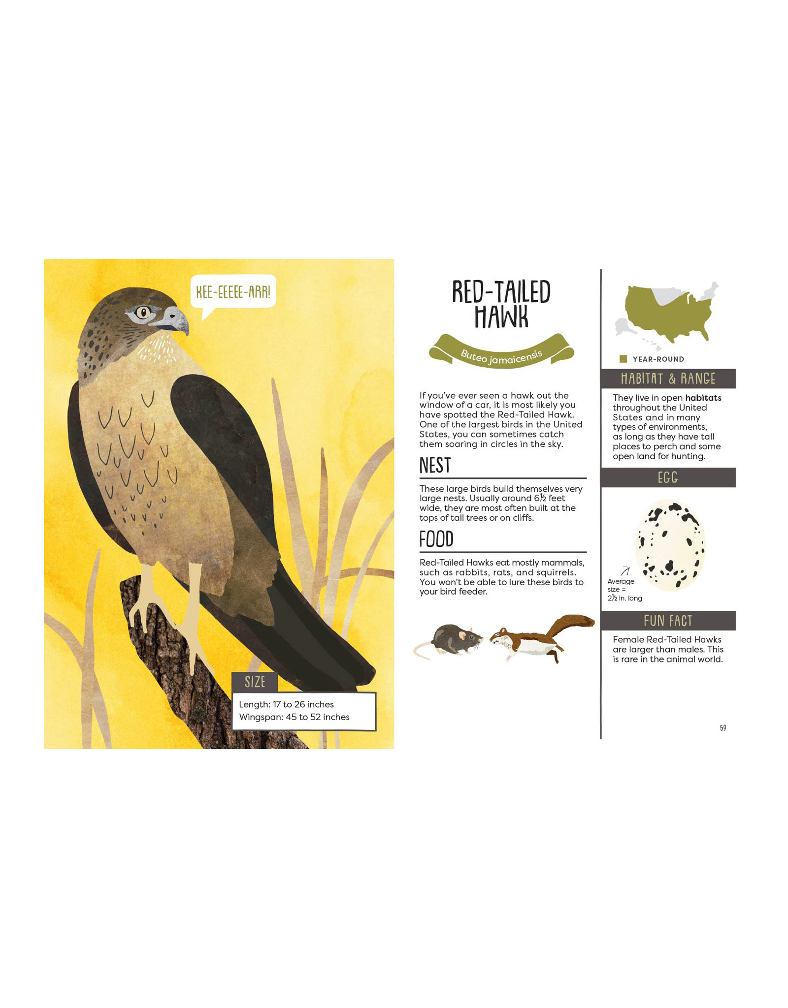 Kid's Guide to Backyard Birds