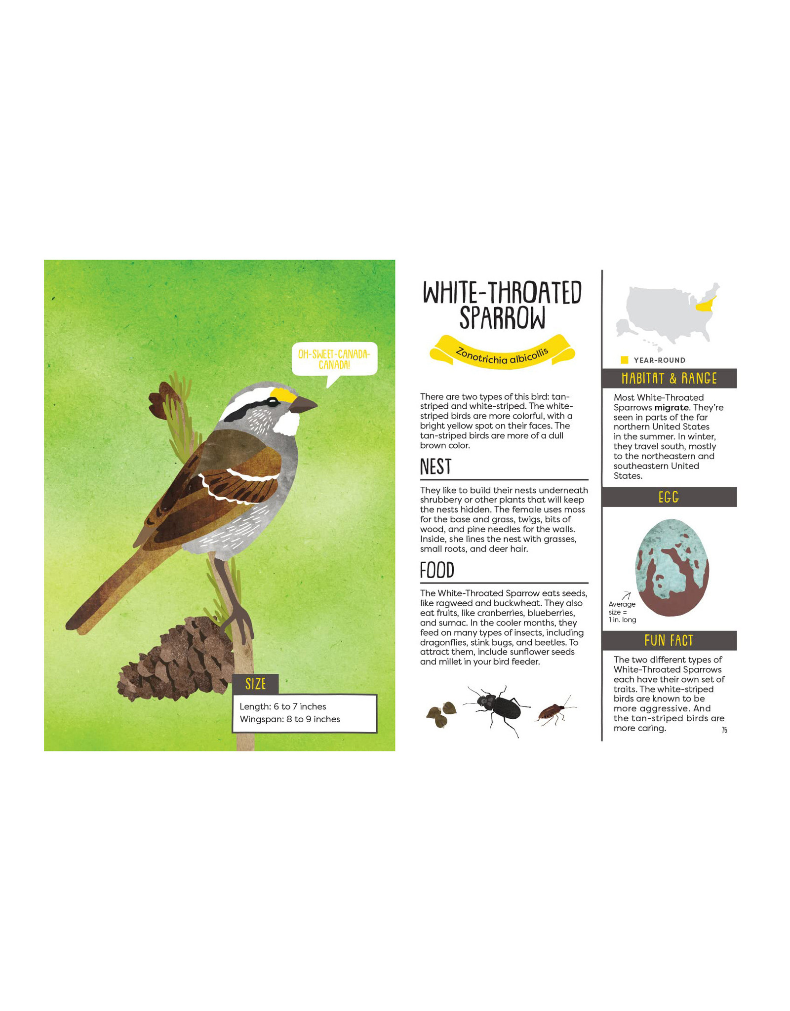 Kid's Guide to Backyard Birds