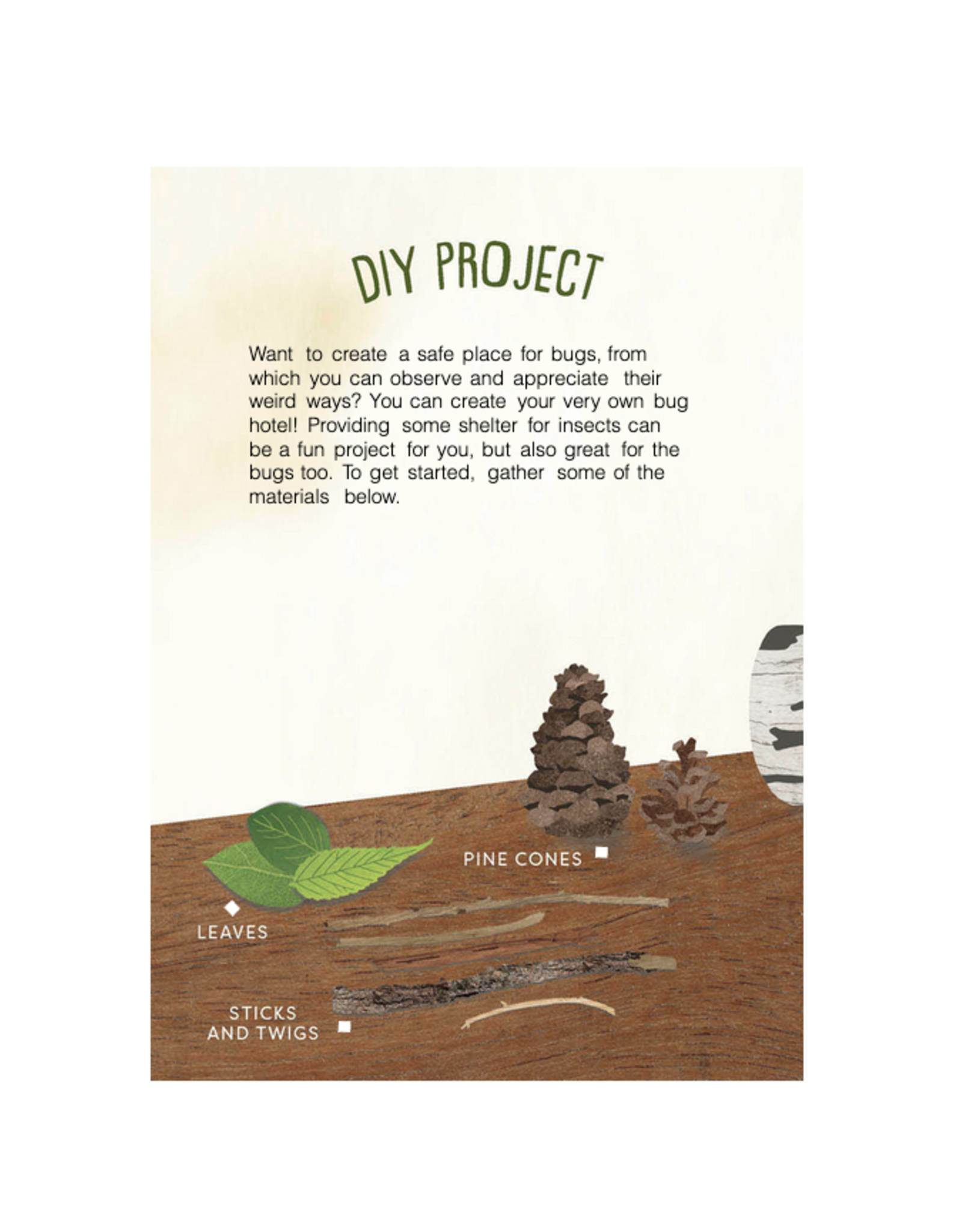 Kid's Guide to Backyard Bugs
