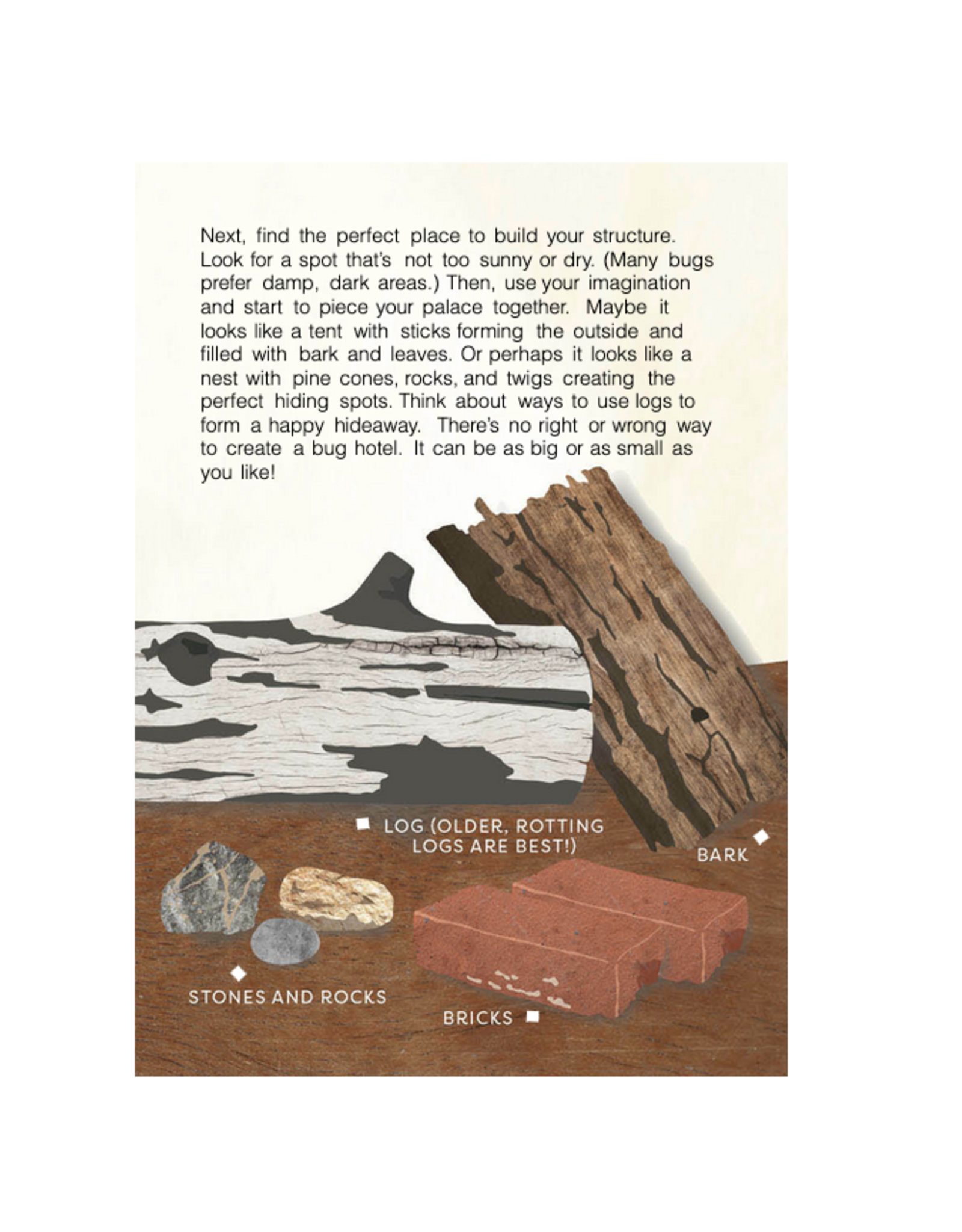 Kid's Guide to Backyard Bugs