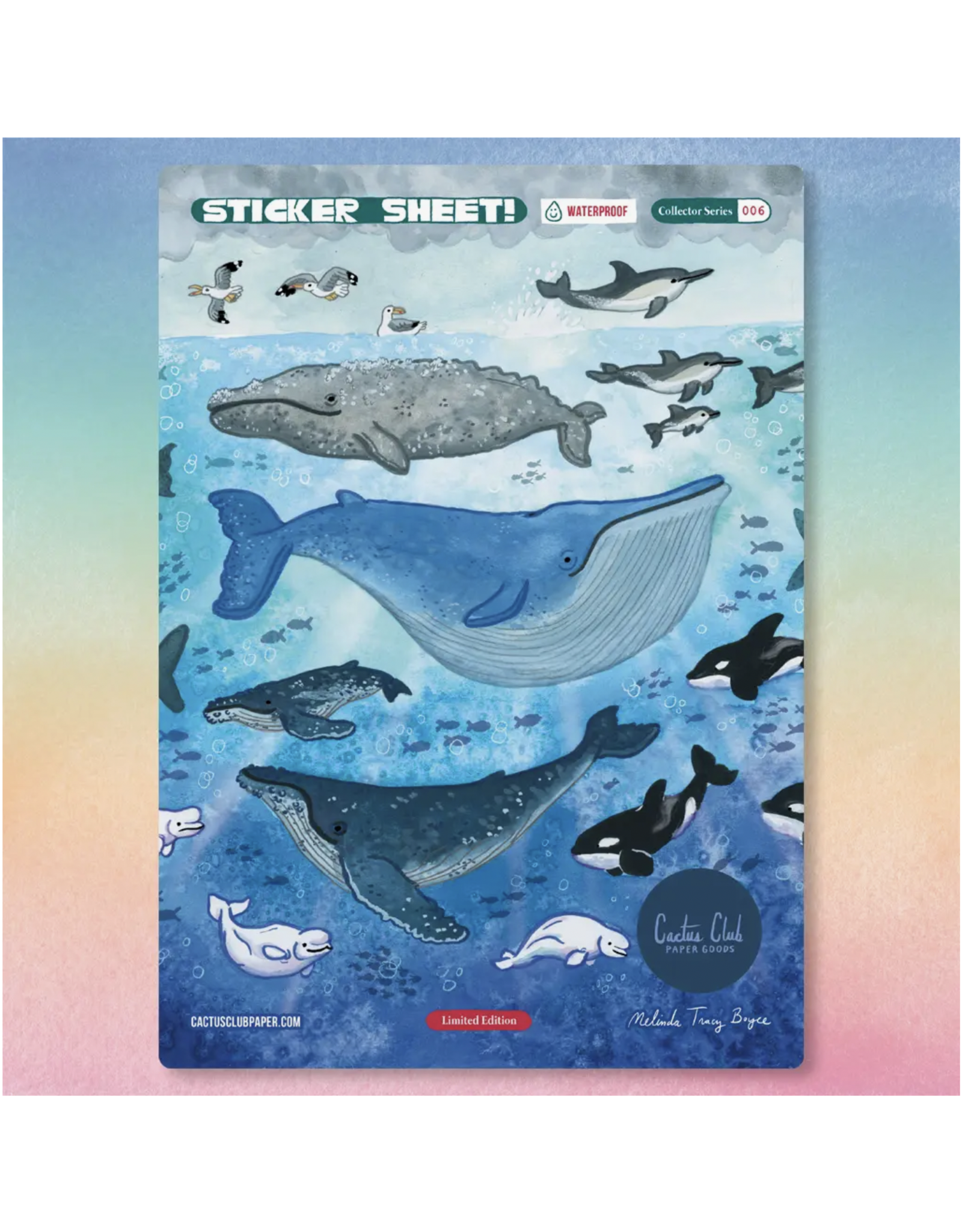 Whales Sticker Sheet