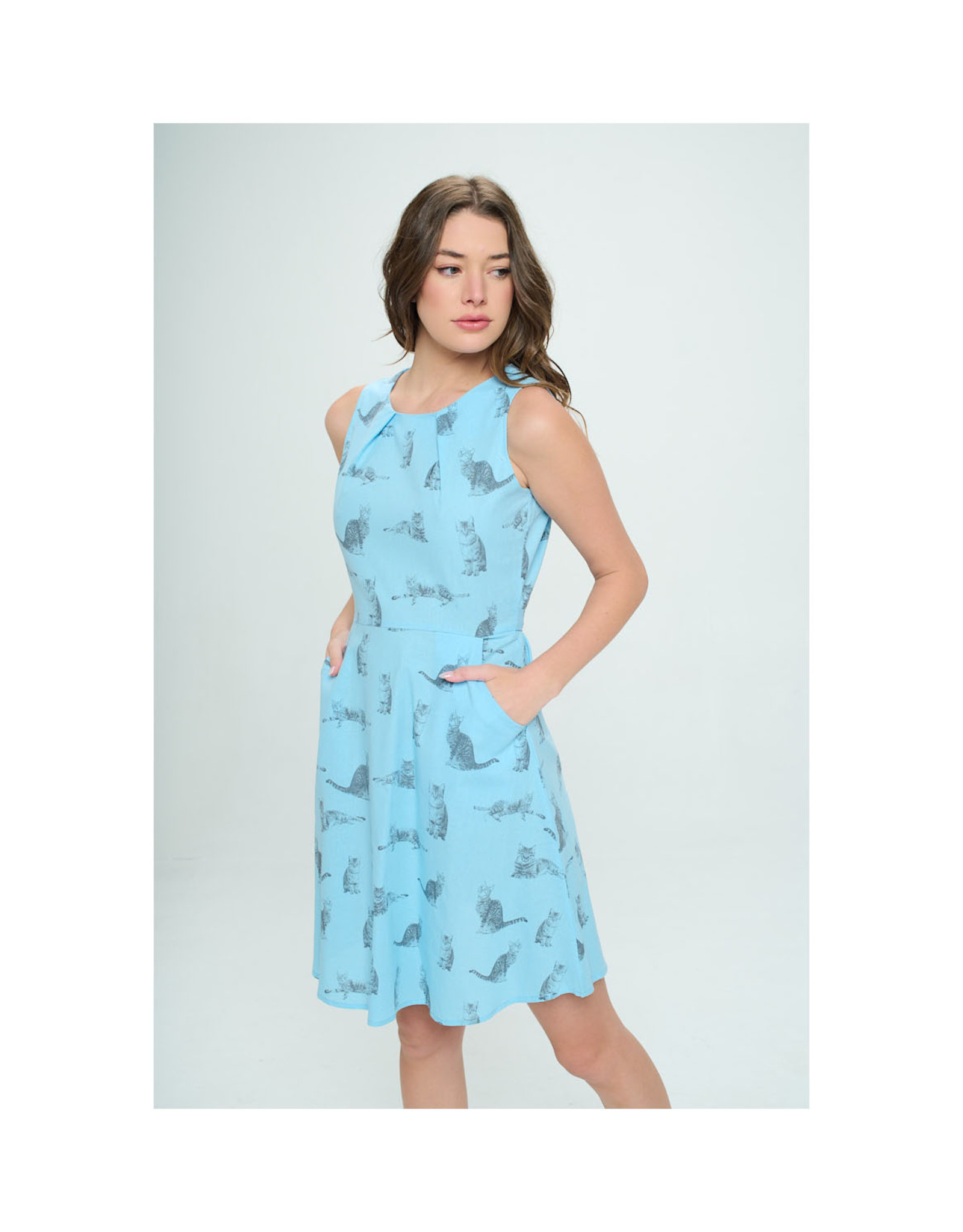 Grey Tabby Cat Dress