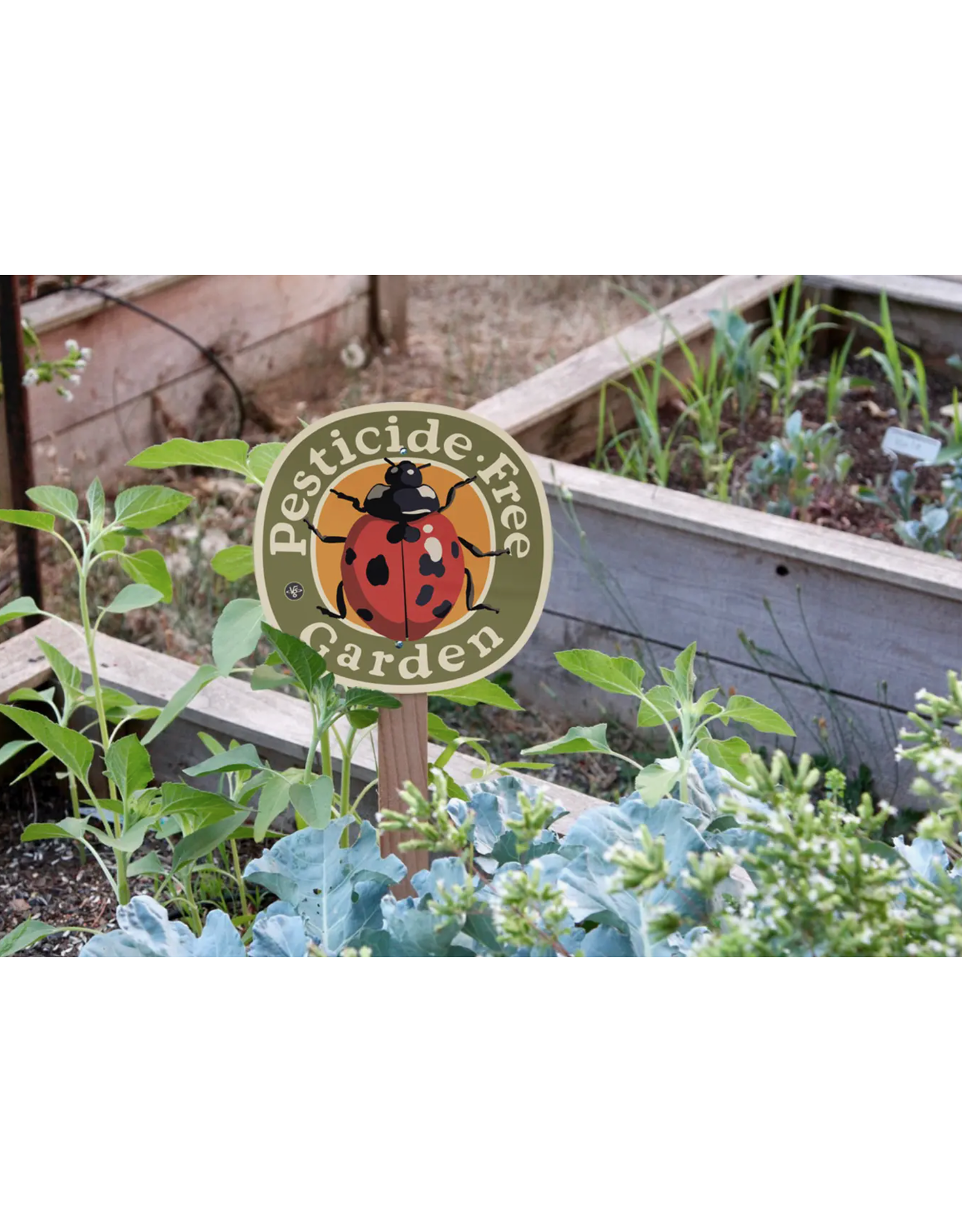 Ladybug Pesticide Free Garden Sign