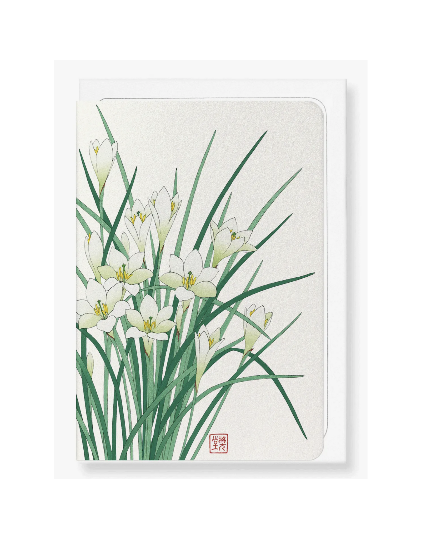 Zephyr Lily Japanese Greeting Card