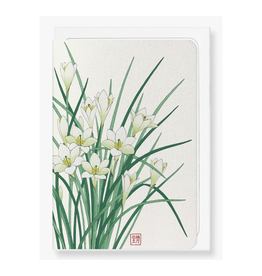 Zephyr Lily Japanese Greeting Card