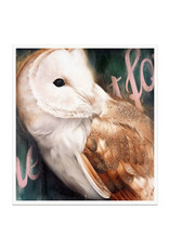 Barn Owl Limited Edition Print