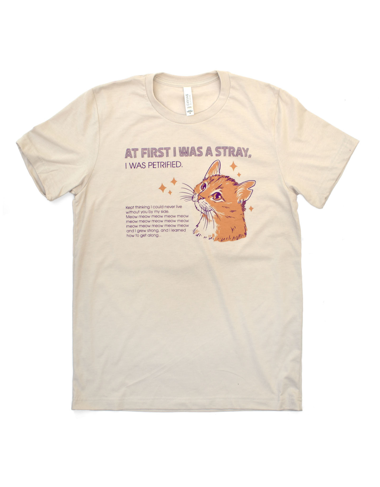 At First I Was a Stray (Cat) Shirt