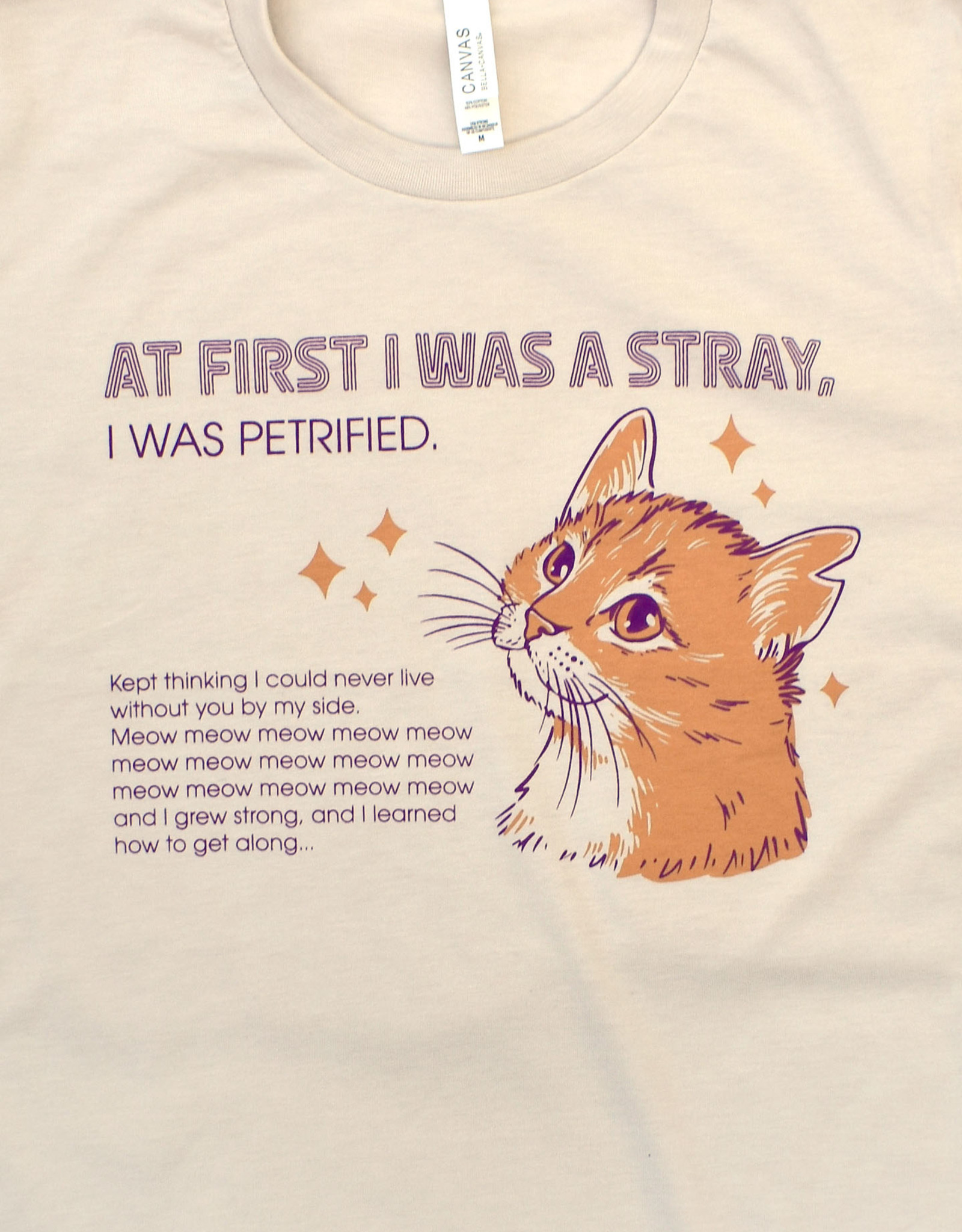 At First I Was a Stray (Cat) Shirt