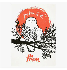 Mom Owl Mother's Day Greeting Card