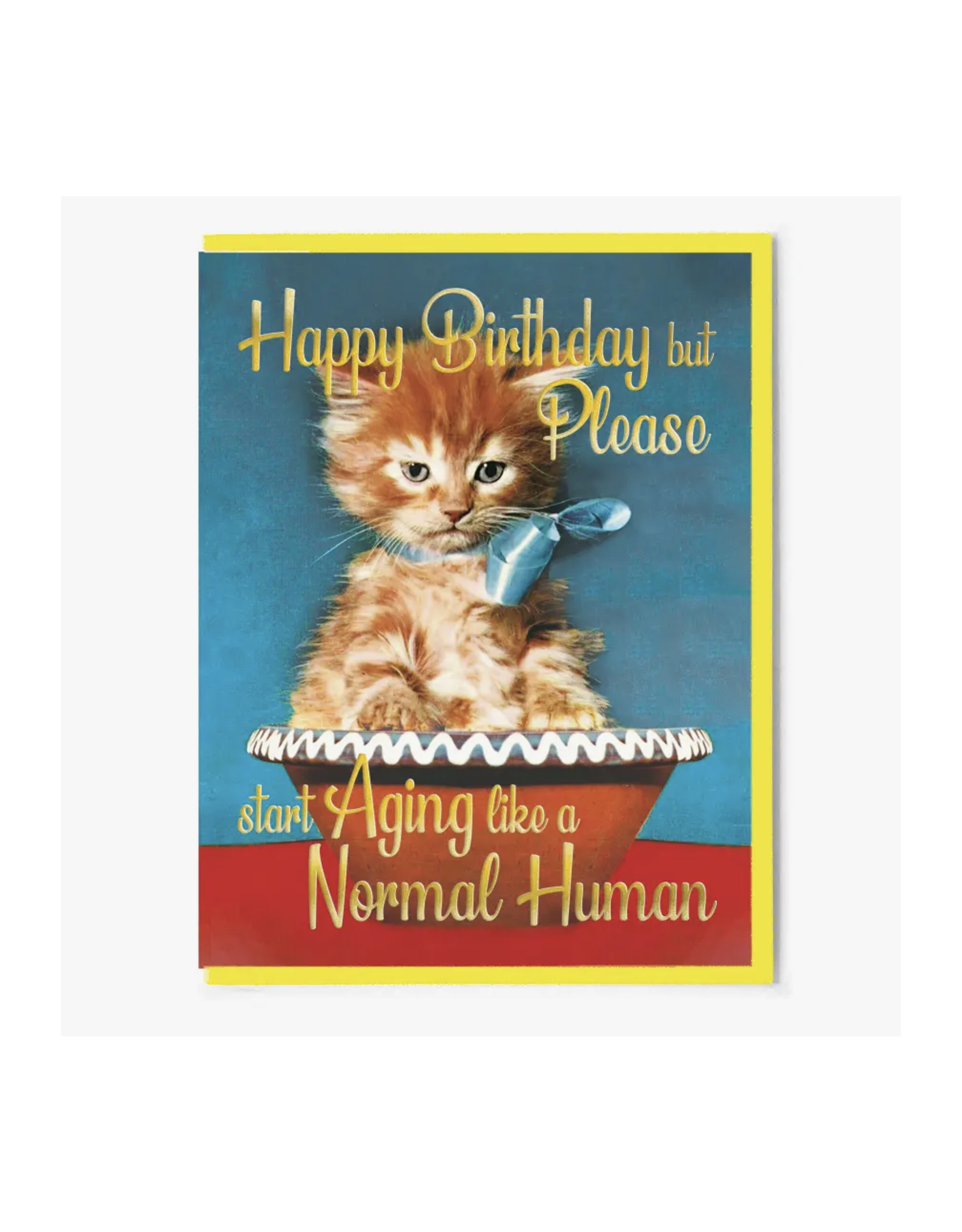 Start Aging Like a Normal Person Greeting Card