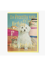 Pretty Sure It's Your Birthday Greeting Card Pretty Sure It's Your Birthday Greeting Card