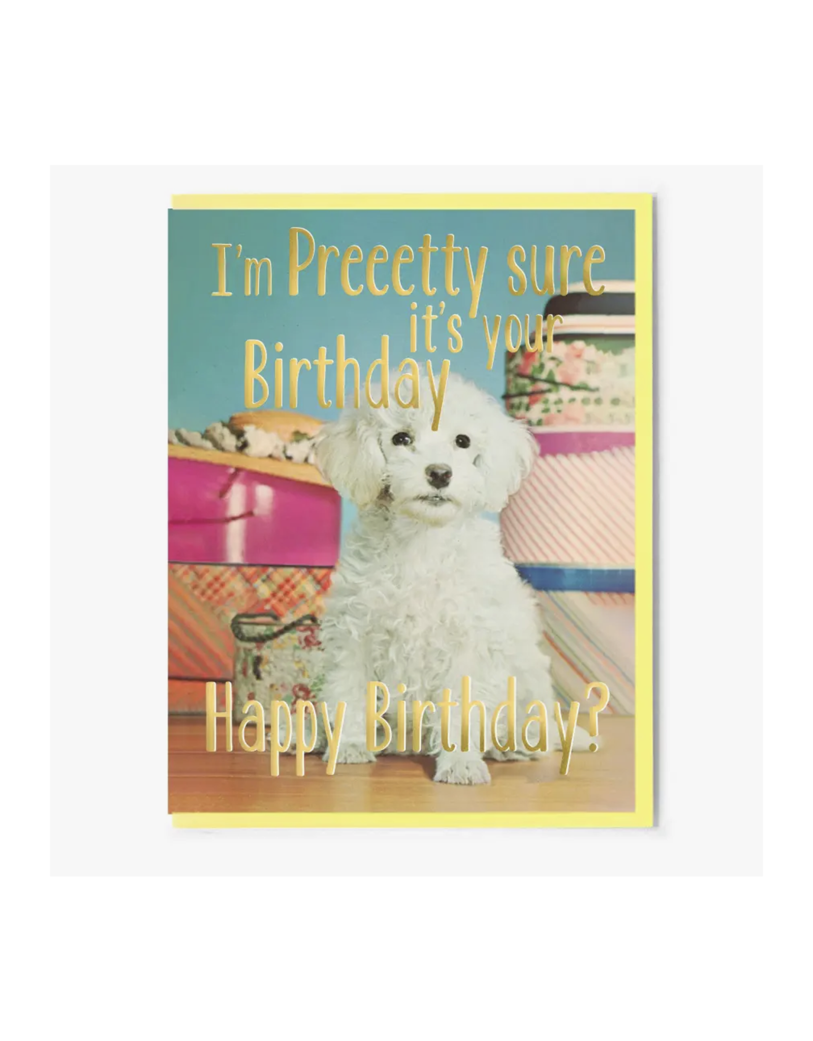 Pretty Sure It's Your Birthday Greeting Card