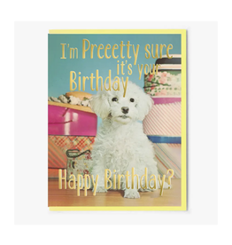 Pretty Sure It's Your Birthday Greeting Card