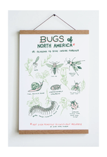 Bugs of North America Print