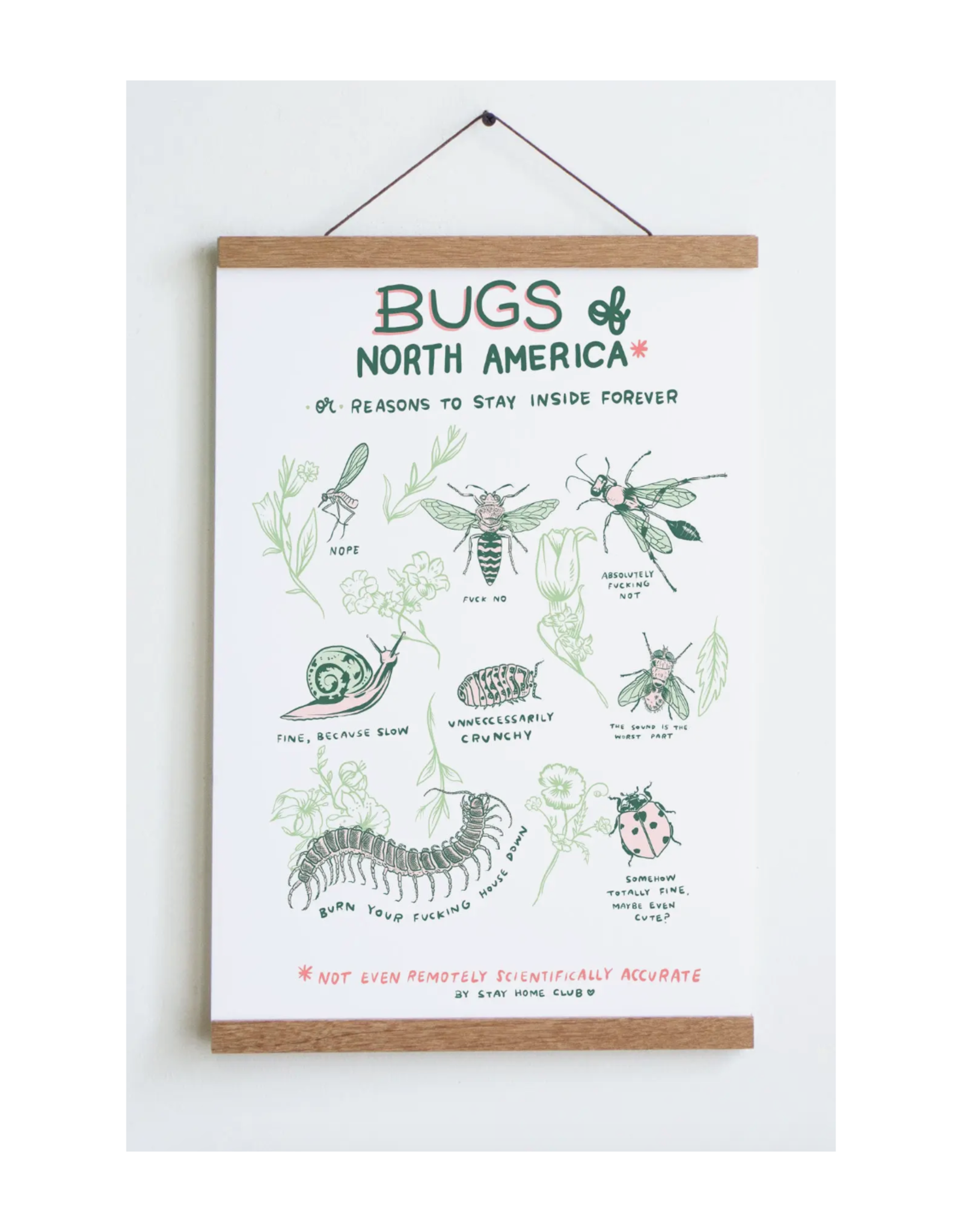 Bugs of North America Print
