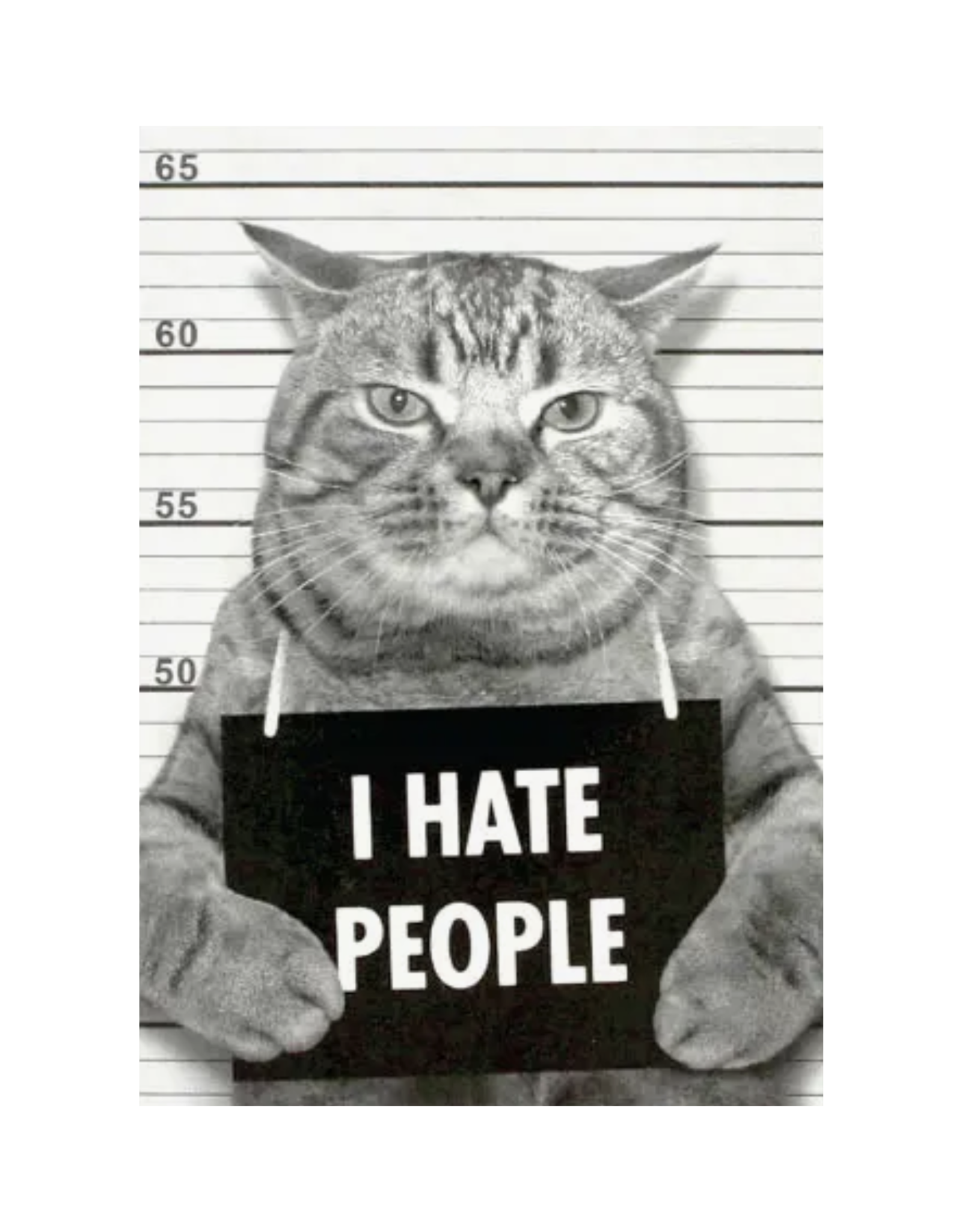 I Hate People Mugshot Cat Magnet