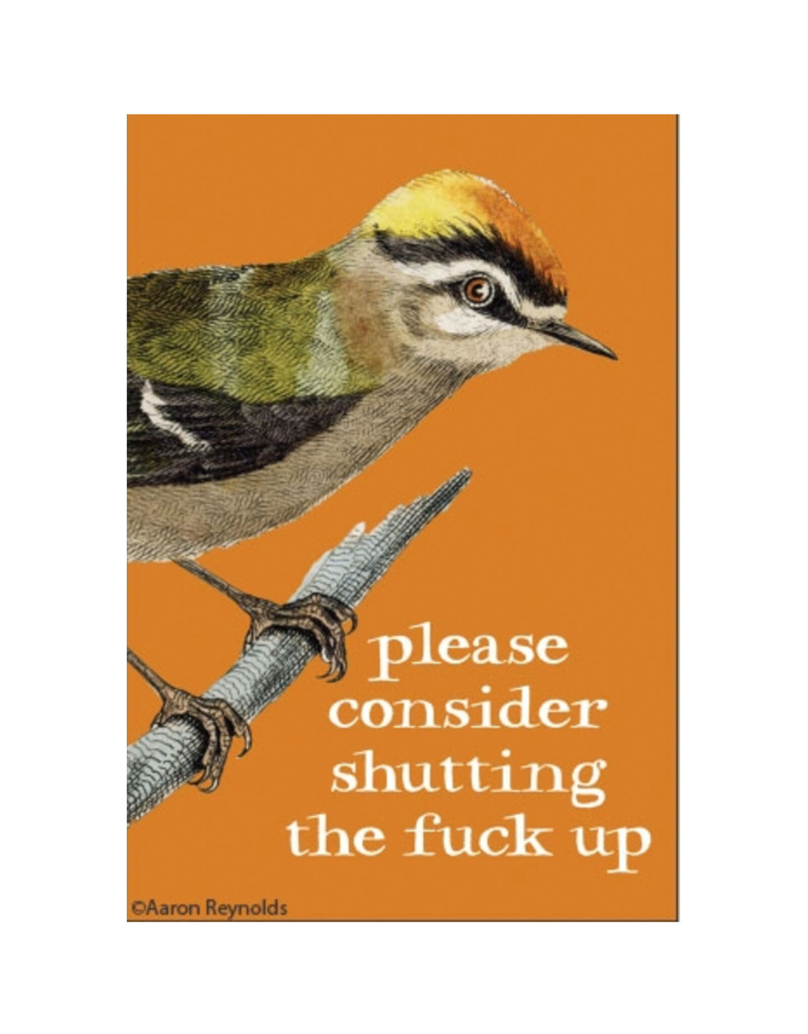 Consider Shutting The Fuck Up Bird Magnet