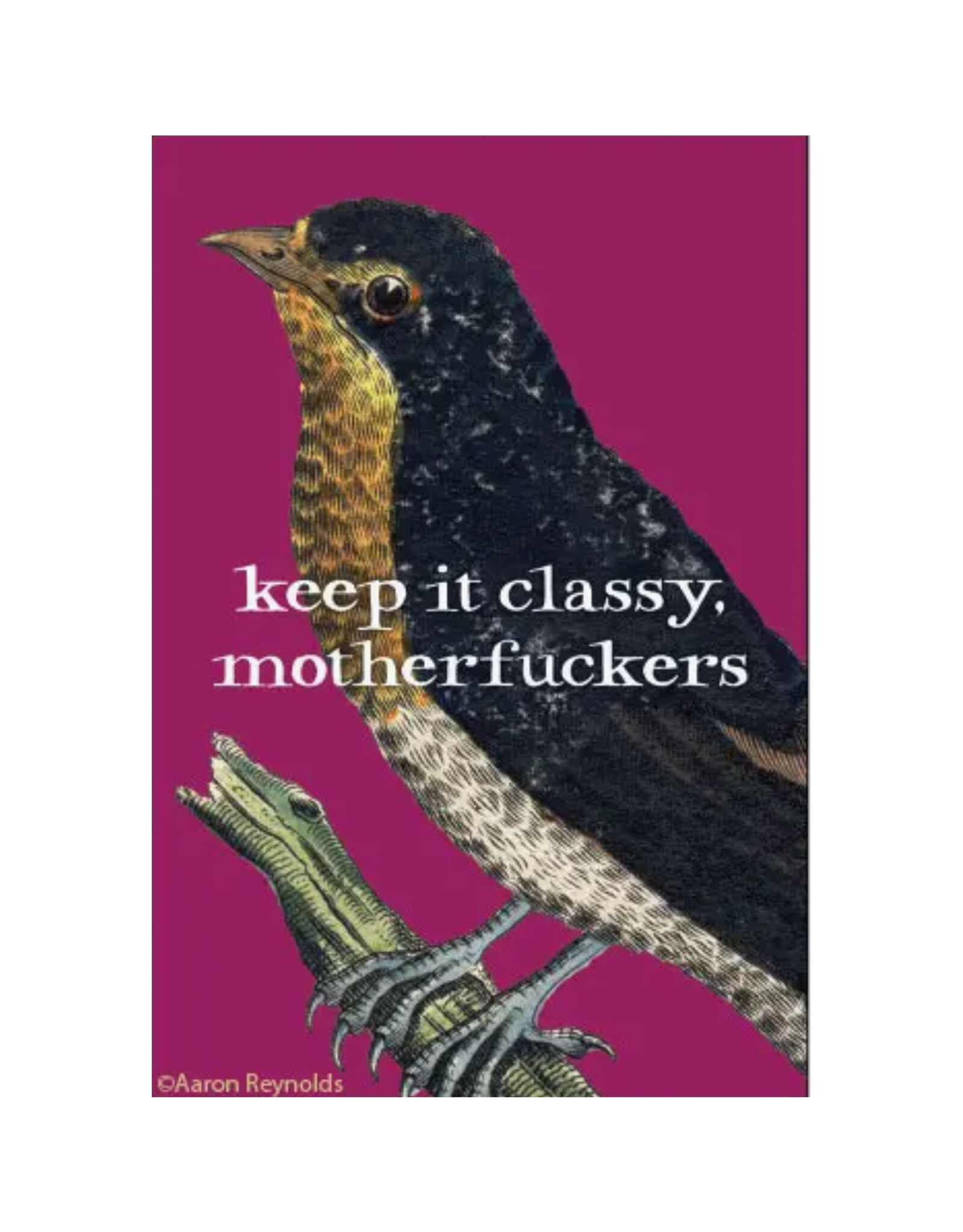 Keep It Classy Motherfuckers Bird Magnet