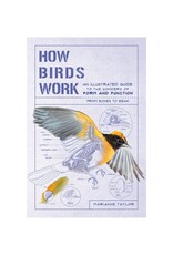 How Birds Work