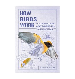 How Birds Work