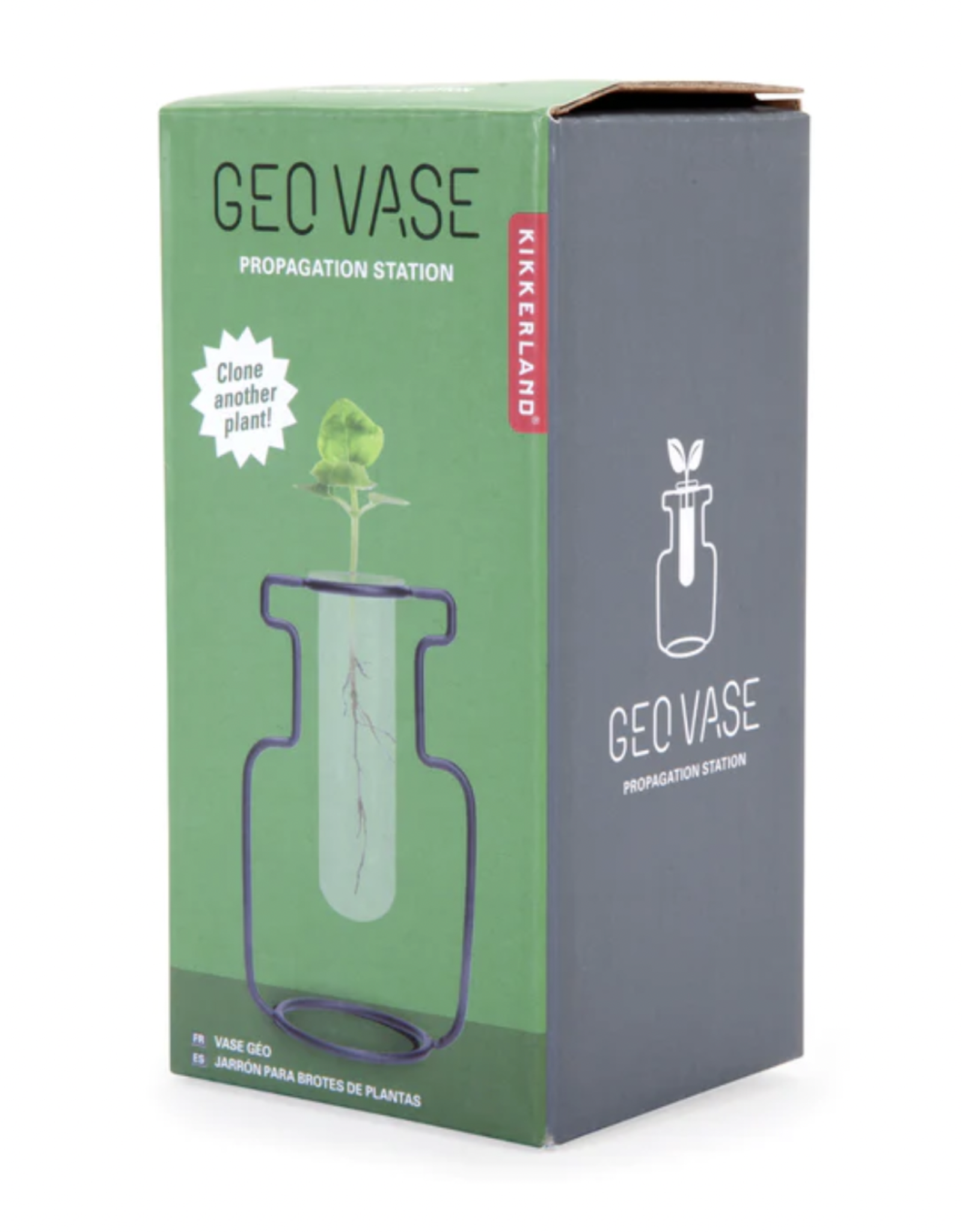 Geo Vase Propagation Station - Assorted