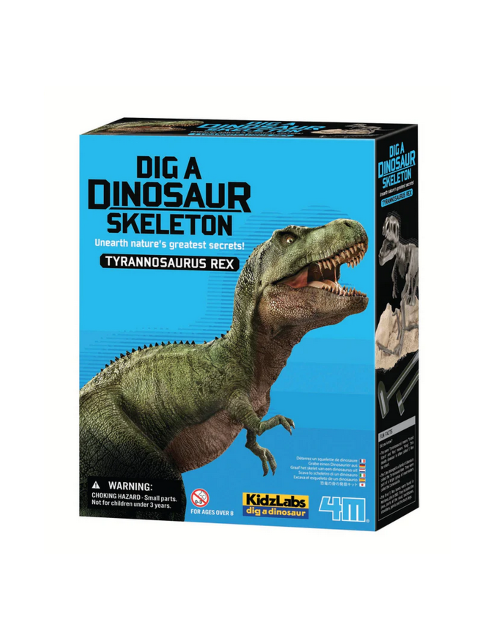 Dig a Dinosaur Skeleton - T-Rex