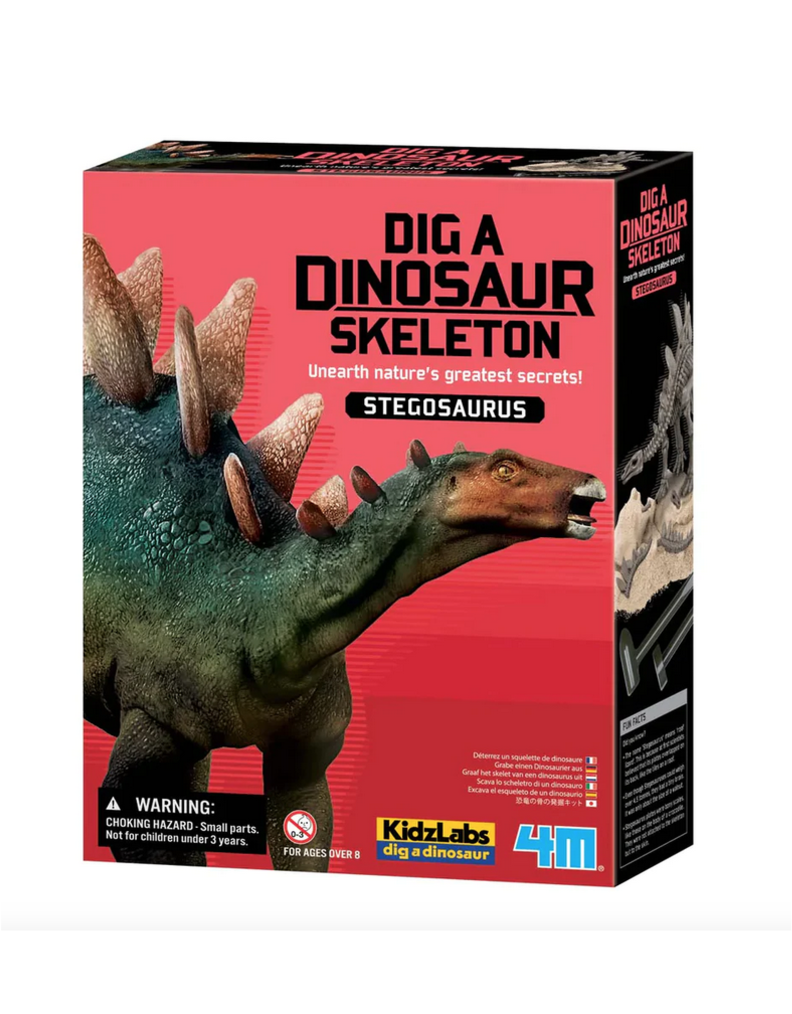 Dig a Dinosaur Skeleton - Stegosaurus