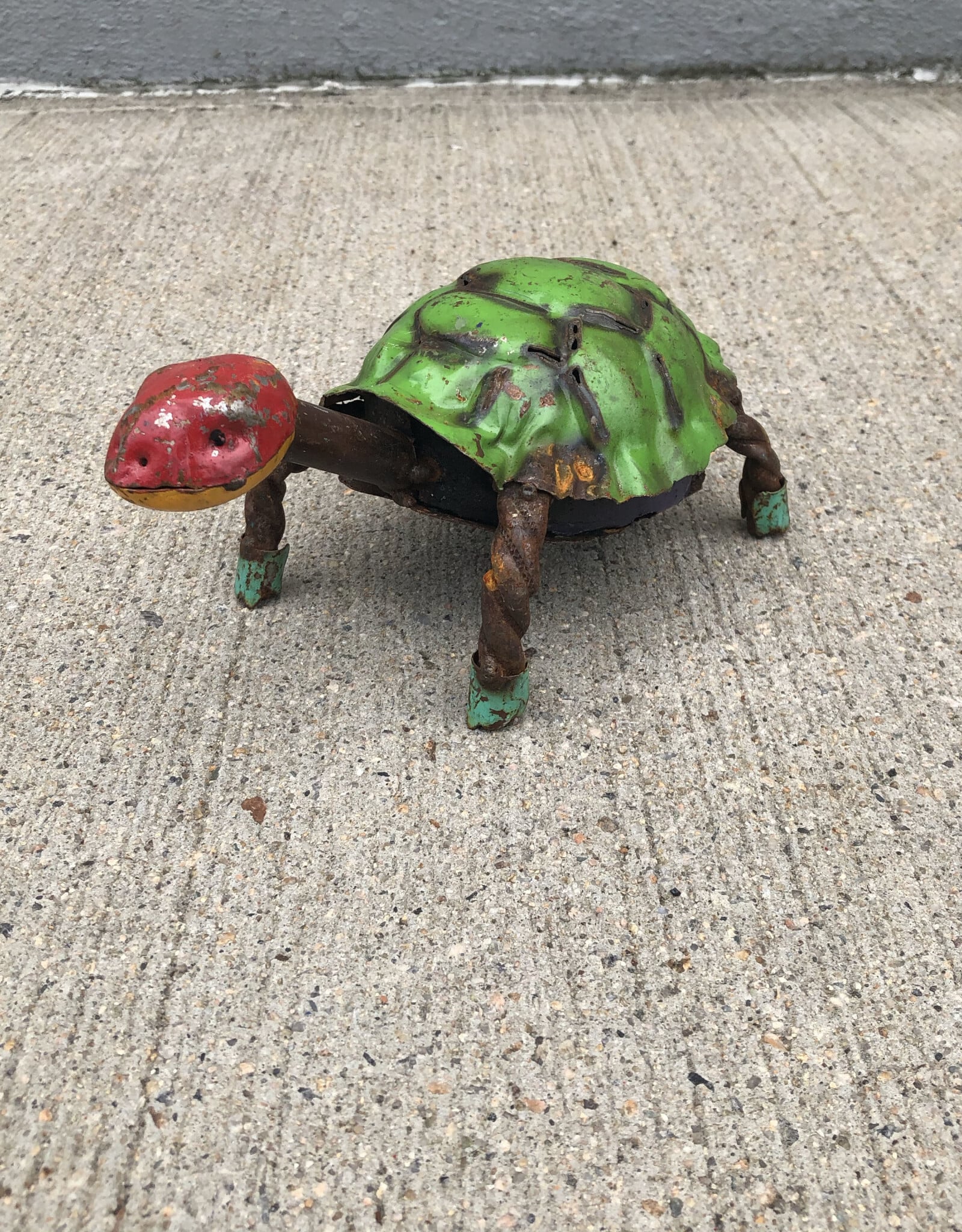 Longneck Turtle - Small