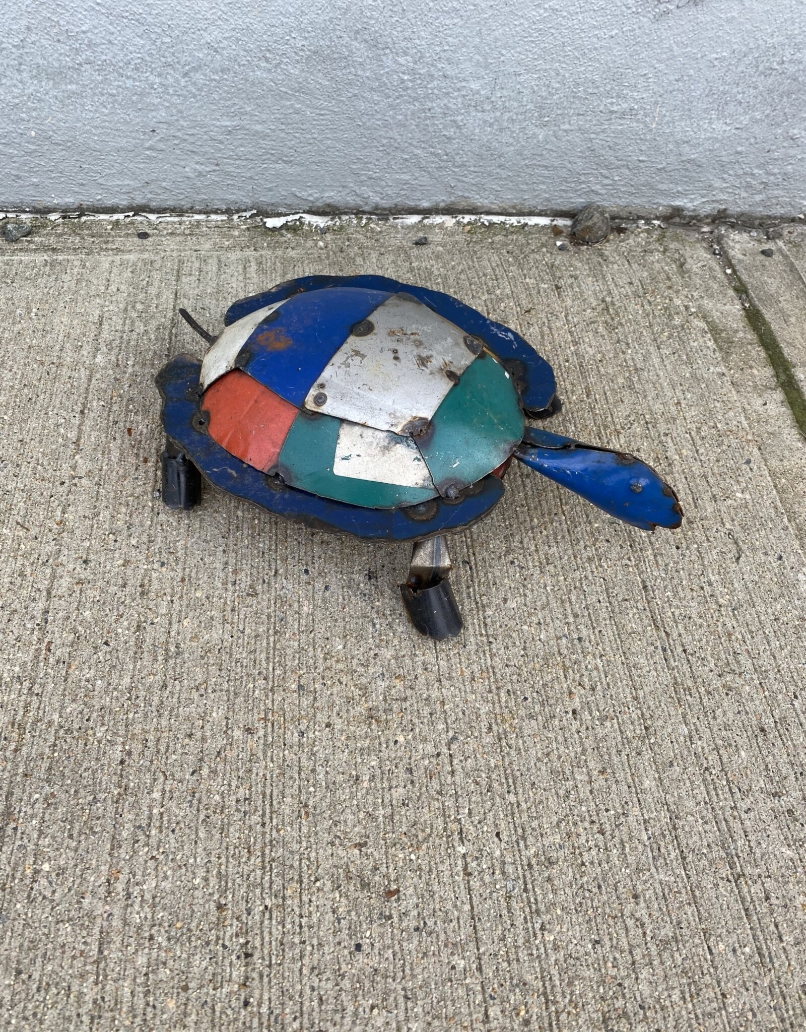 Turtle Multicolored - Small