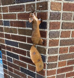 Hanging Squirrel - Curbside pickup only!